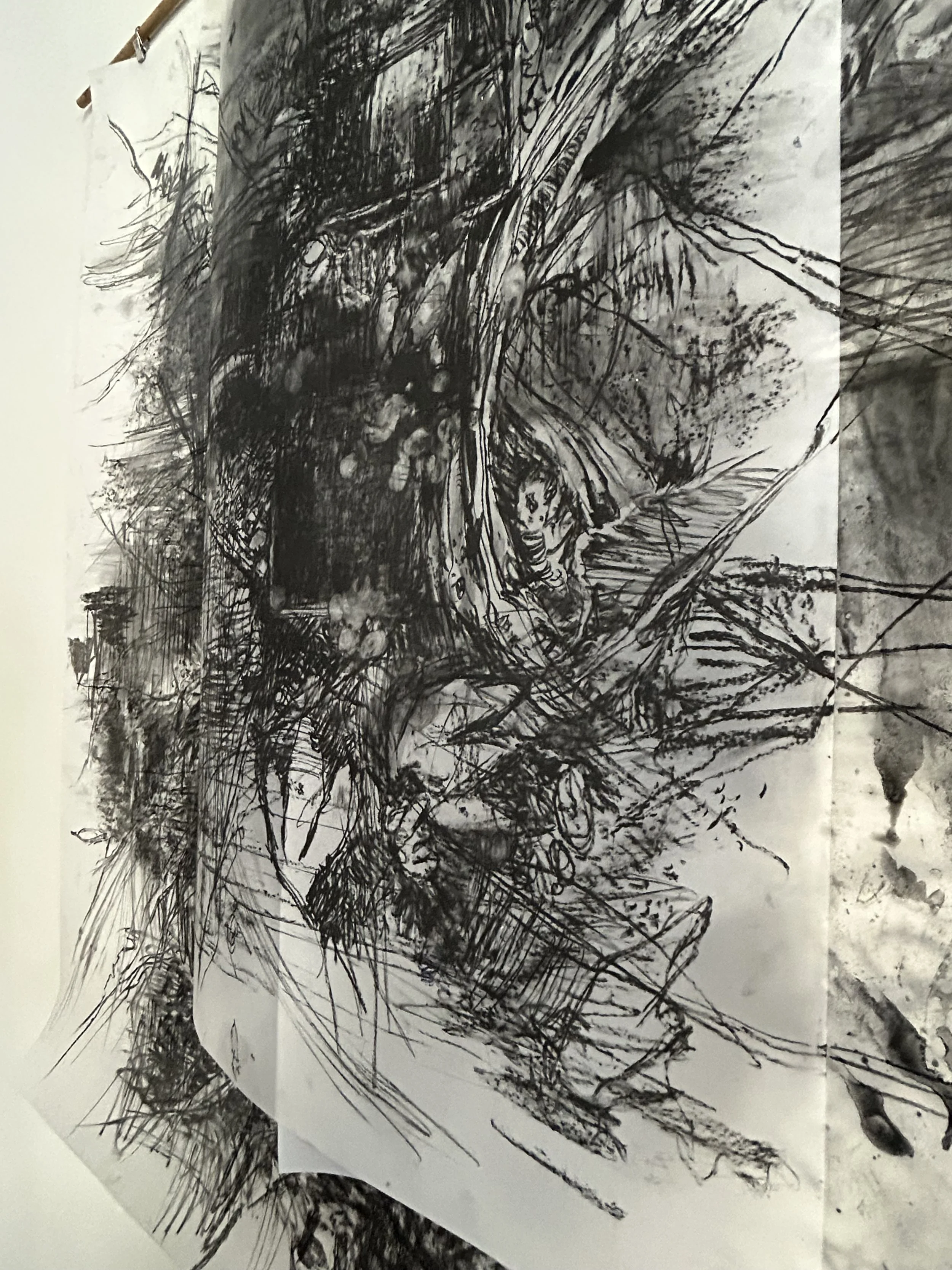 Veiled Ground (detail)