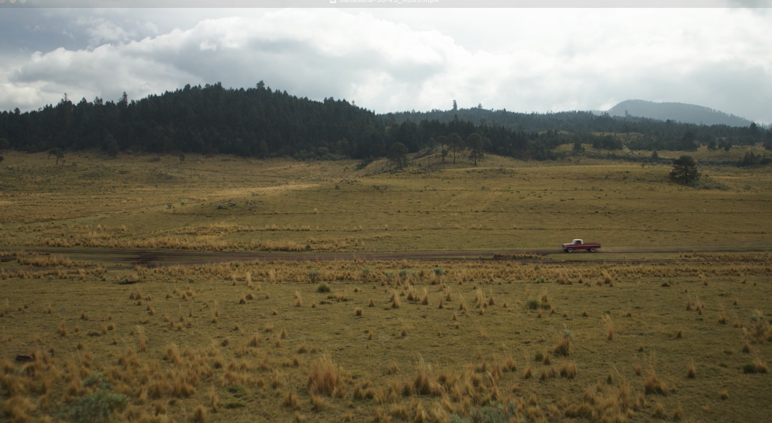 Screenshot 2025-08-01 at 11.03.30 AM.png