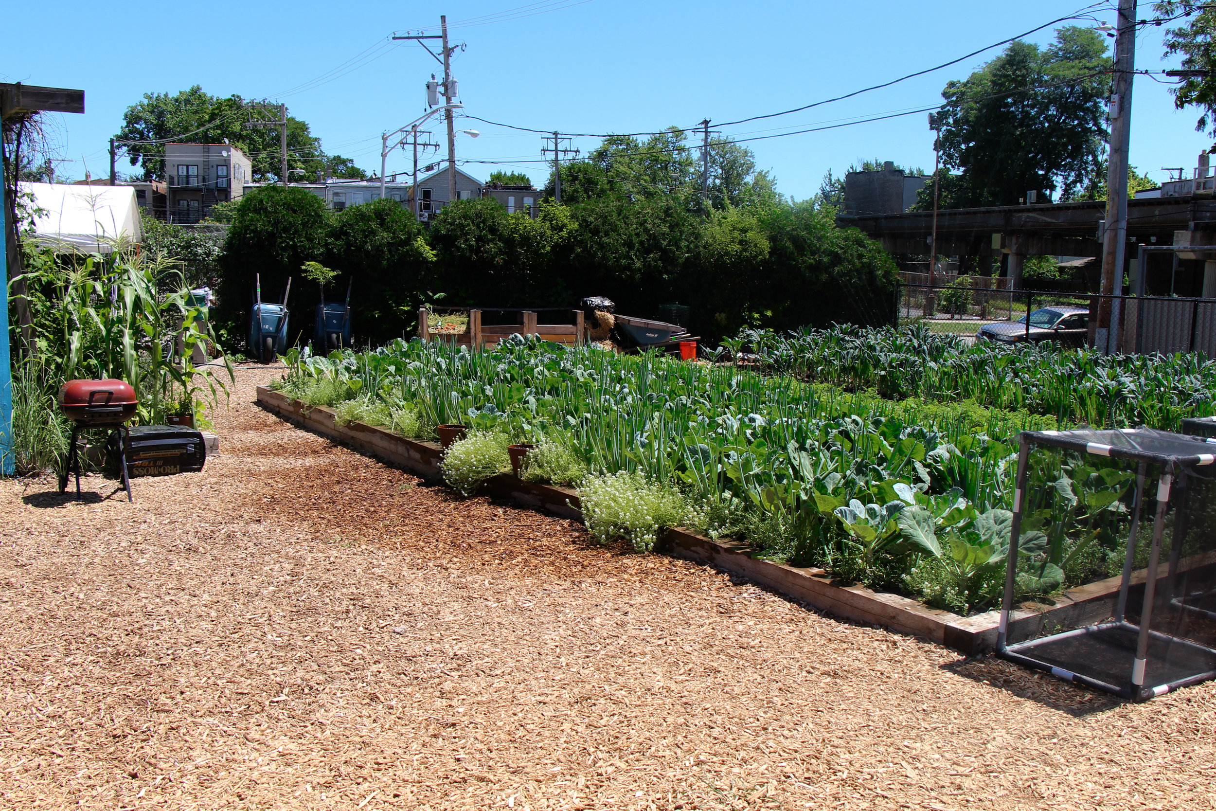 The garden is split into 3 aggregation groups