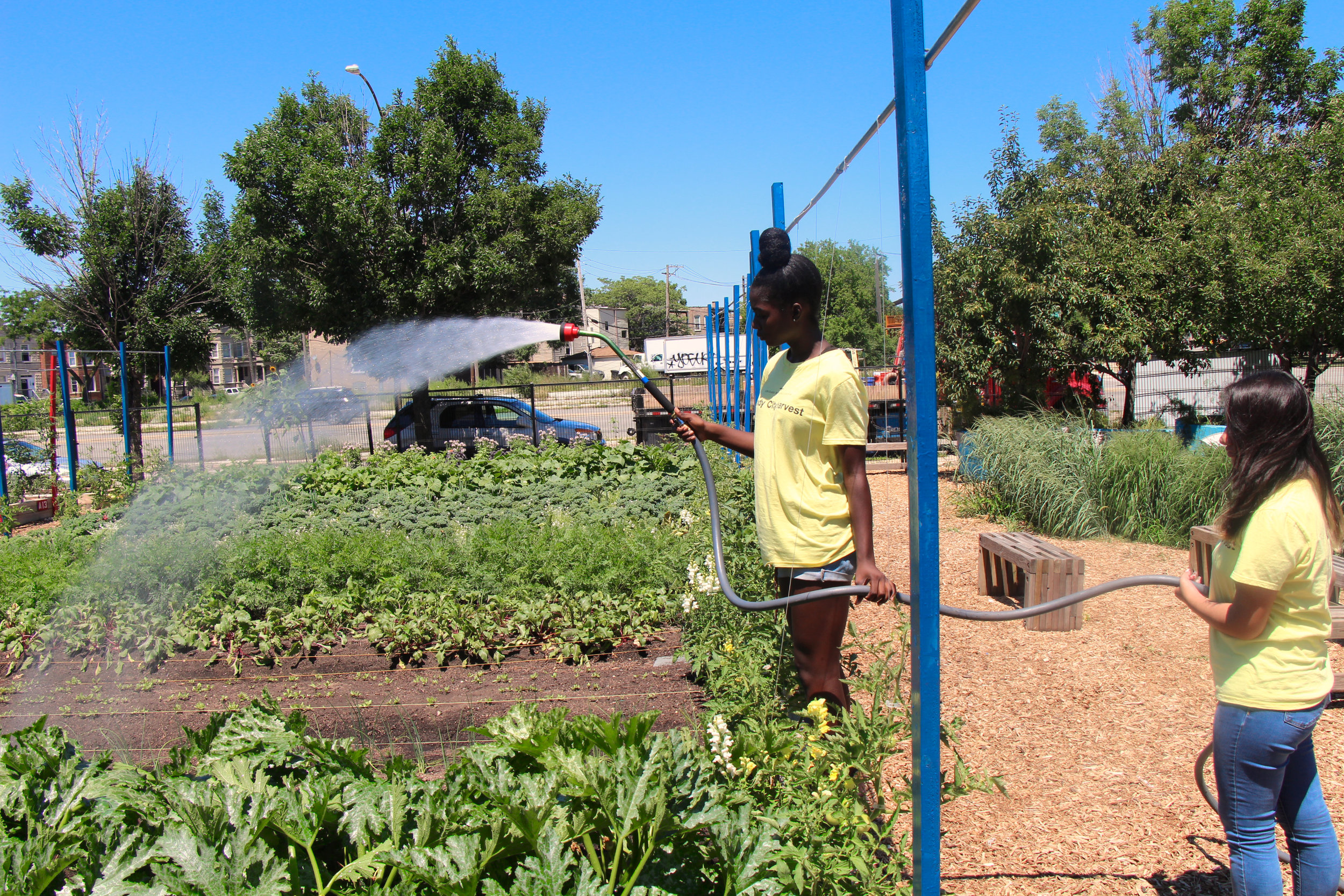 Keely Coates(left) and Melanie Franco (right) help water the vegetables to keep them fresh.