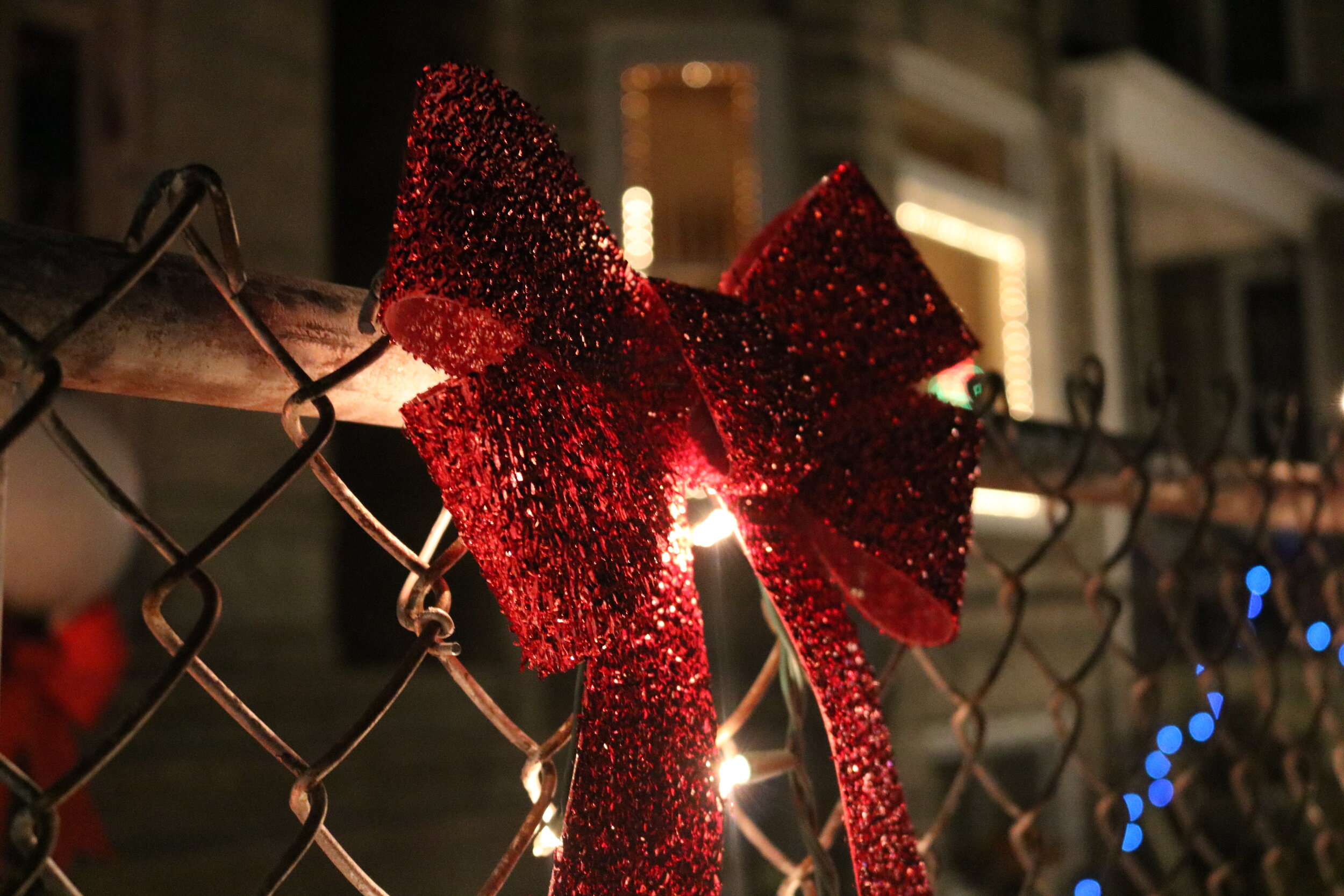  A Christmas bow hangs from a fence during the Christmas light event on Friday, Dec. 13. 