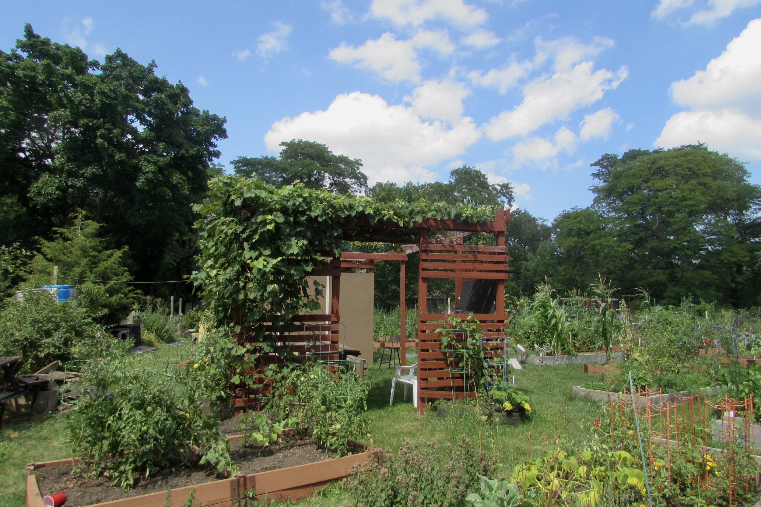  Hand-built soil beds and a central gazebo structure the lush space 