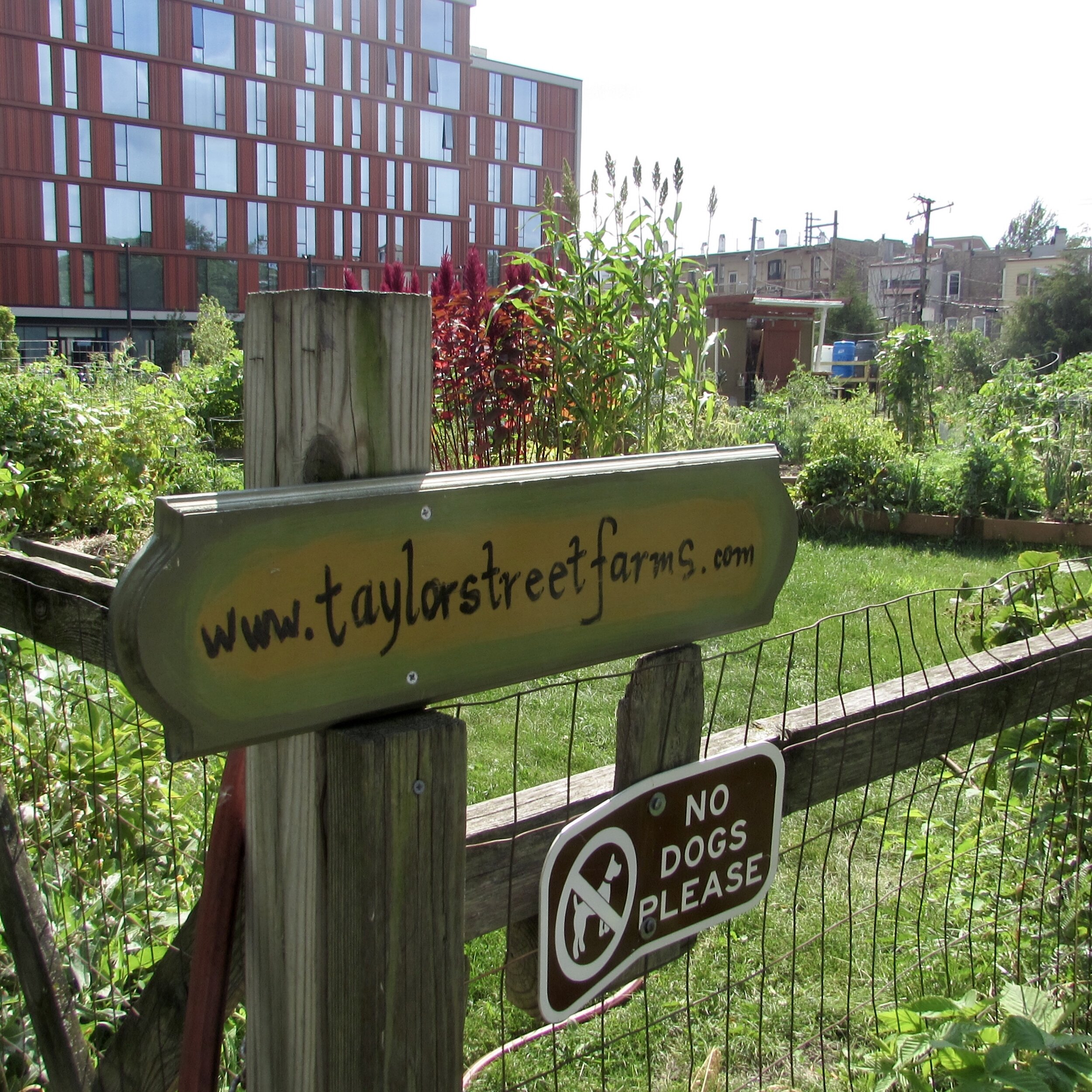  Taylor Street Farms, at Ada St and Arlington St in Chicago’s Near West Side 