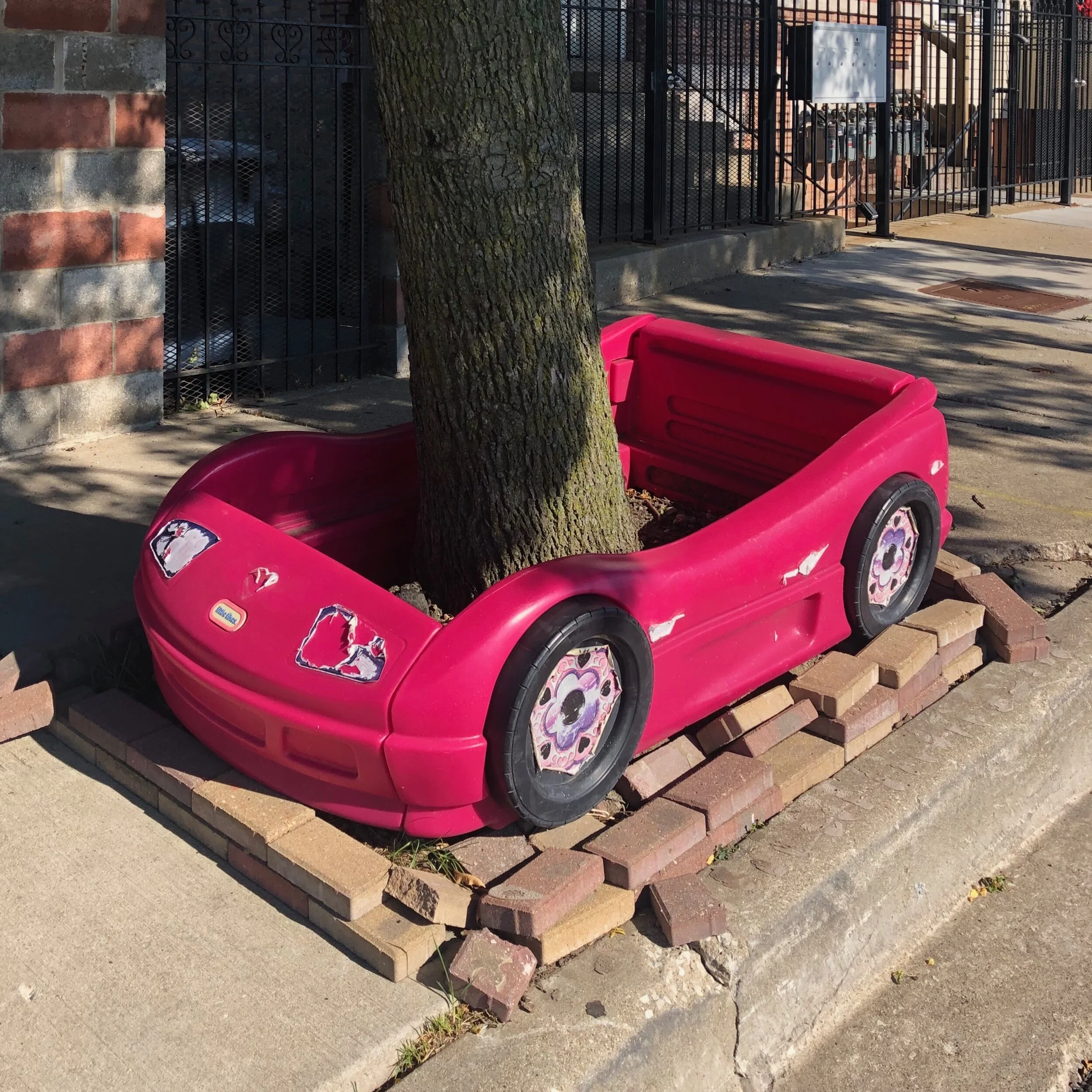 Editorial: Chicago’s 2020 tree census is underway: will it underscore the injustices that plague our urban forest?