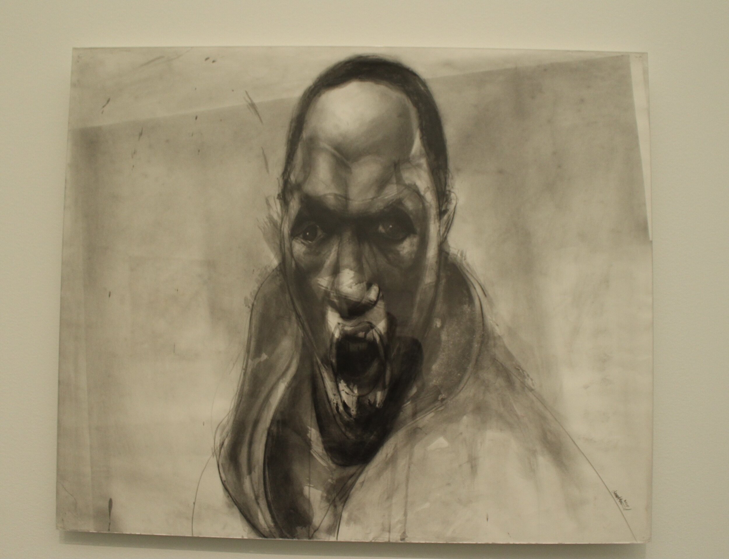  The second half of Jesse Howard's Rage South Carolina Series.The photo was taken by Sabrina Hart on April 3, 2021 at the Museum of Contemporary Art Chicago.    