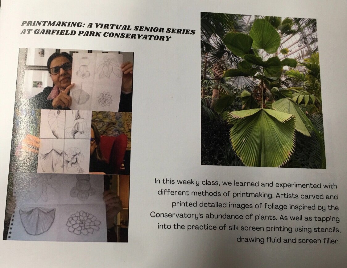  A description of the class as well as work from the artists and a picture of the plant life at Garfield park.    