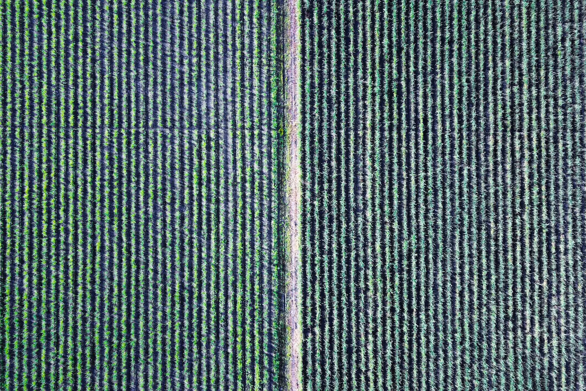 DJI_0030.jpg