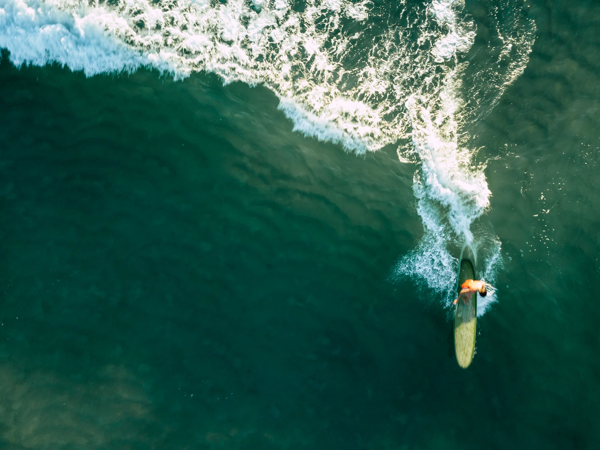 DJI_0124.jpg