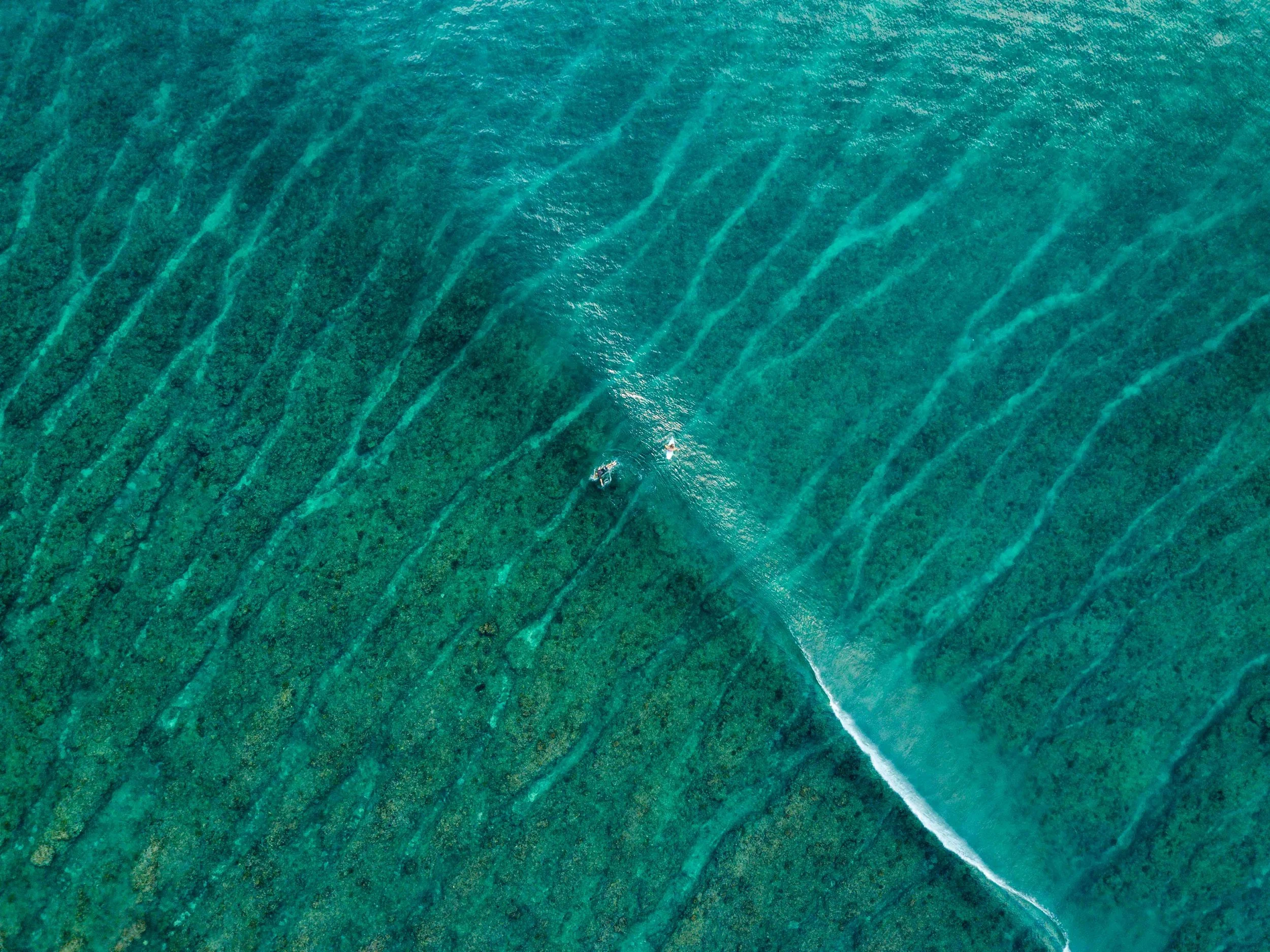 DJI_0091_sml.jpg