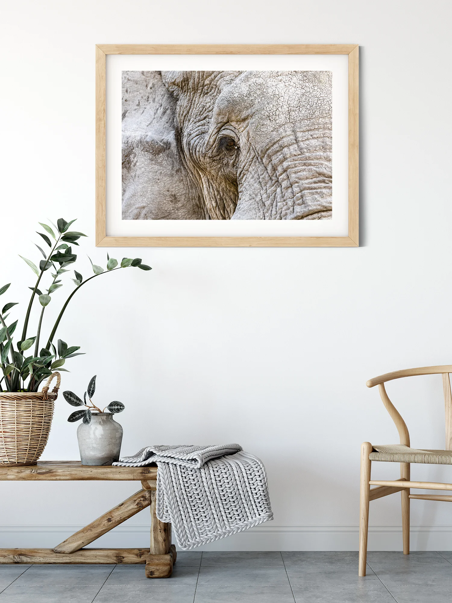 Elephant Eye Mock.jpg
