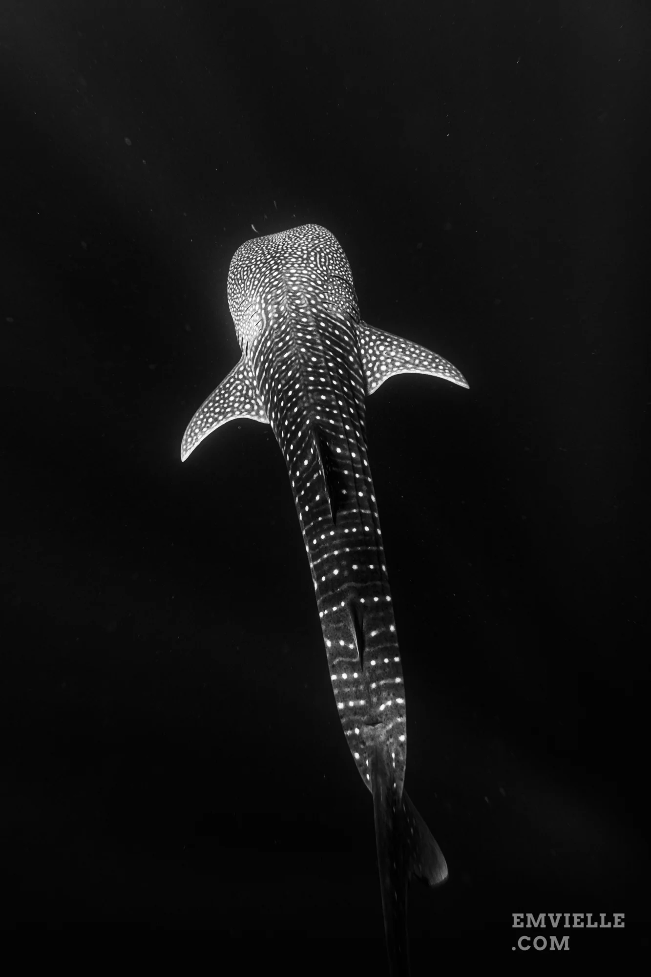 170A3090.jpg