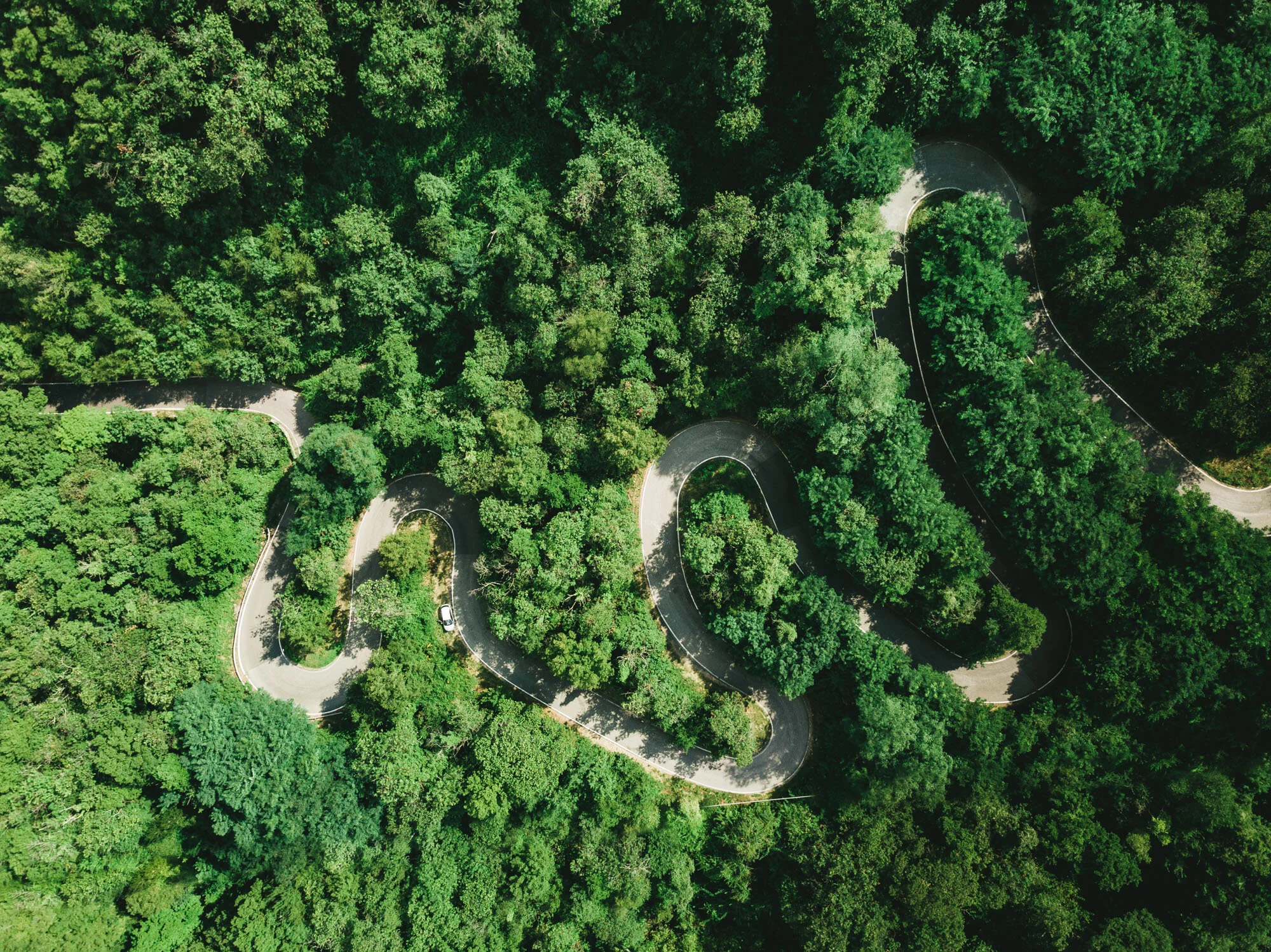 02092019_EMVIELLE_DJI_0024.jpg