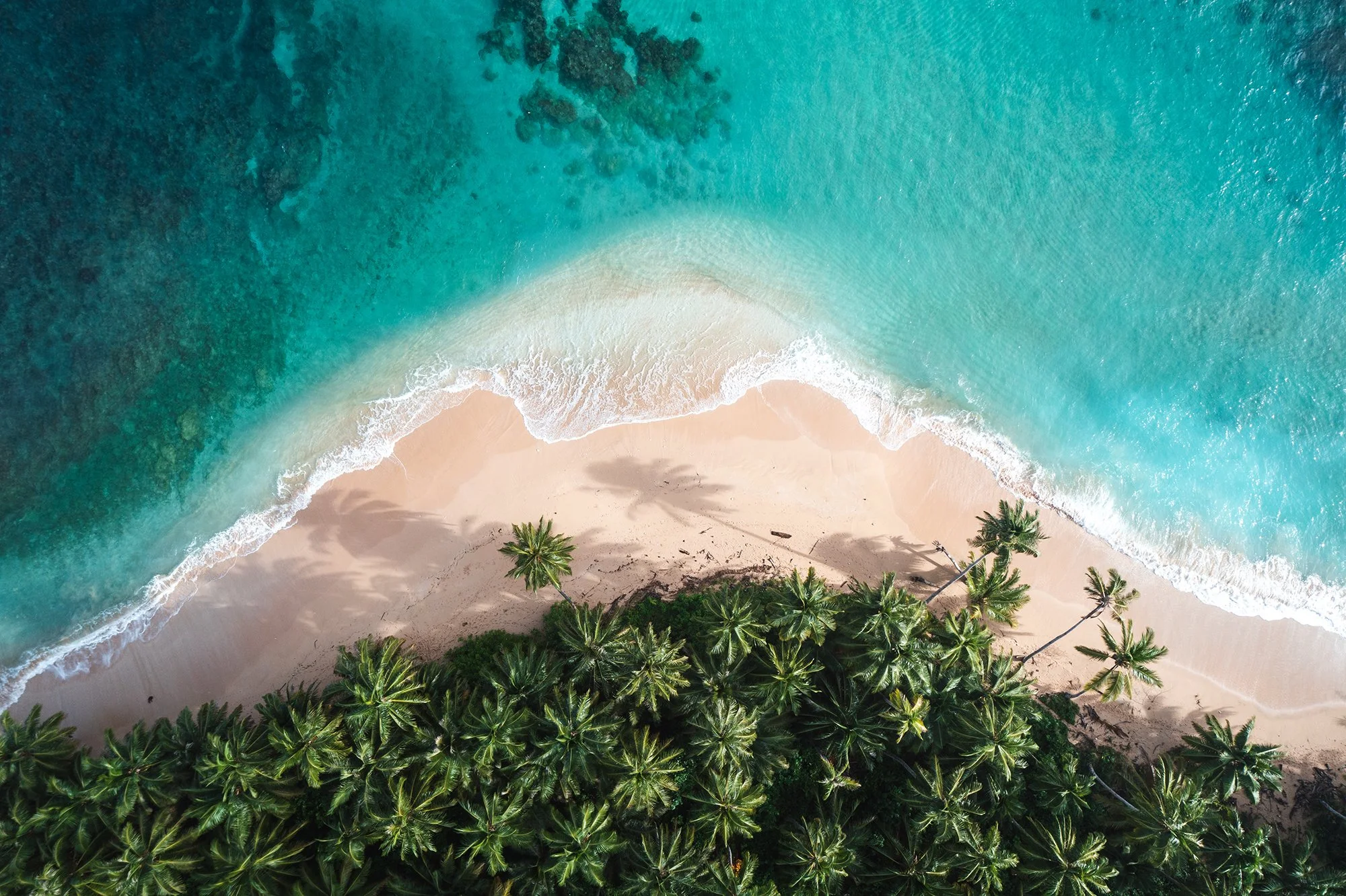 DJI_0313.jpg