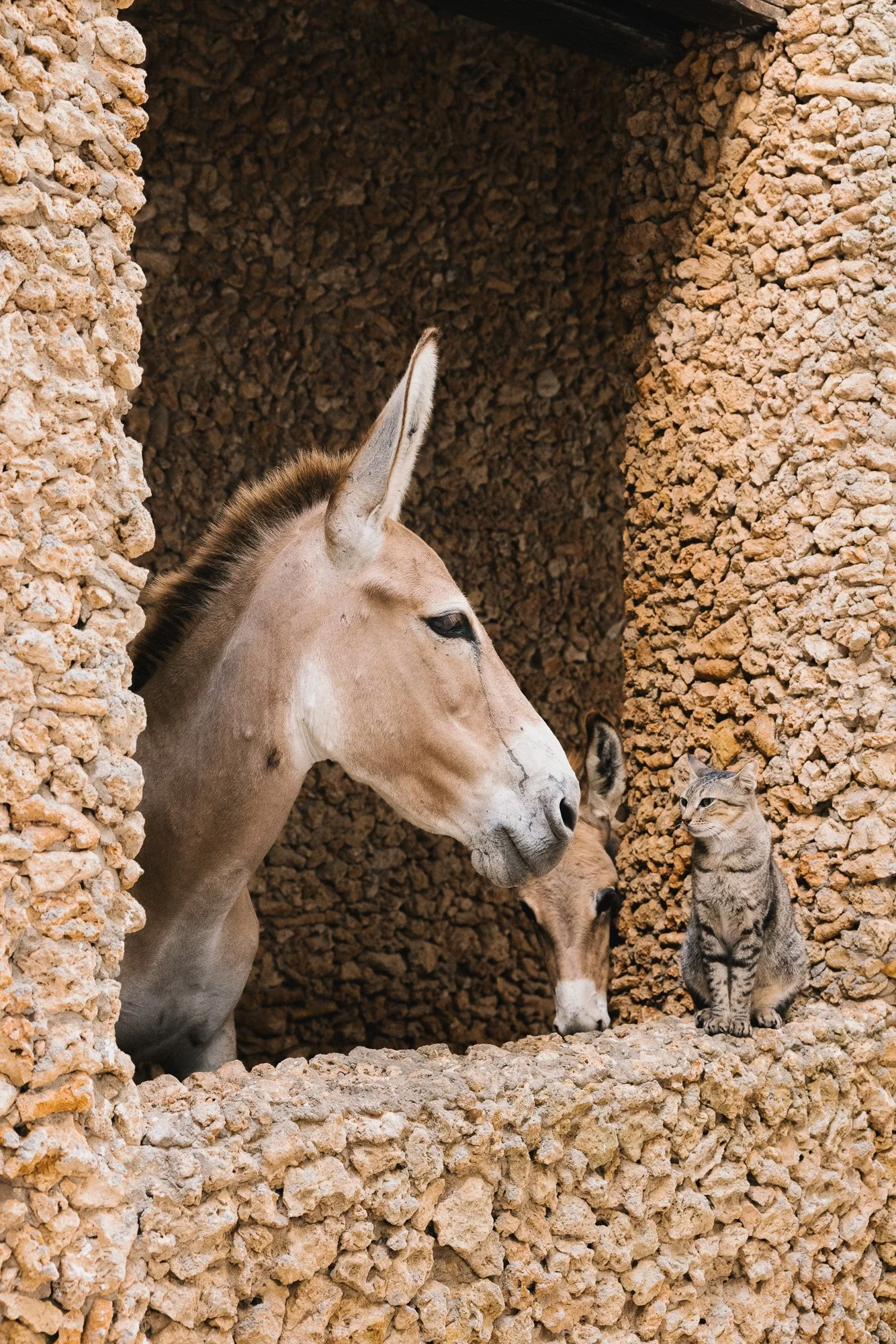 030A8048.jpg