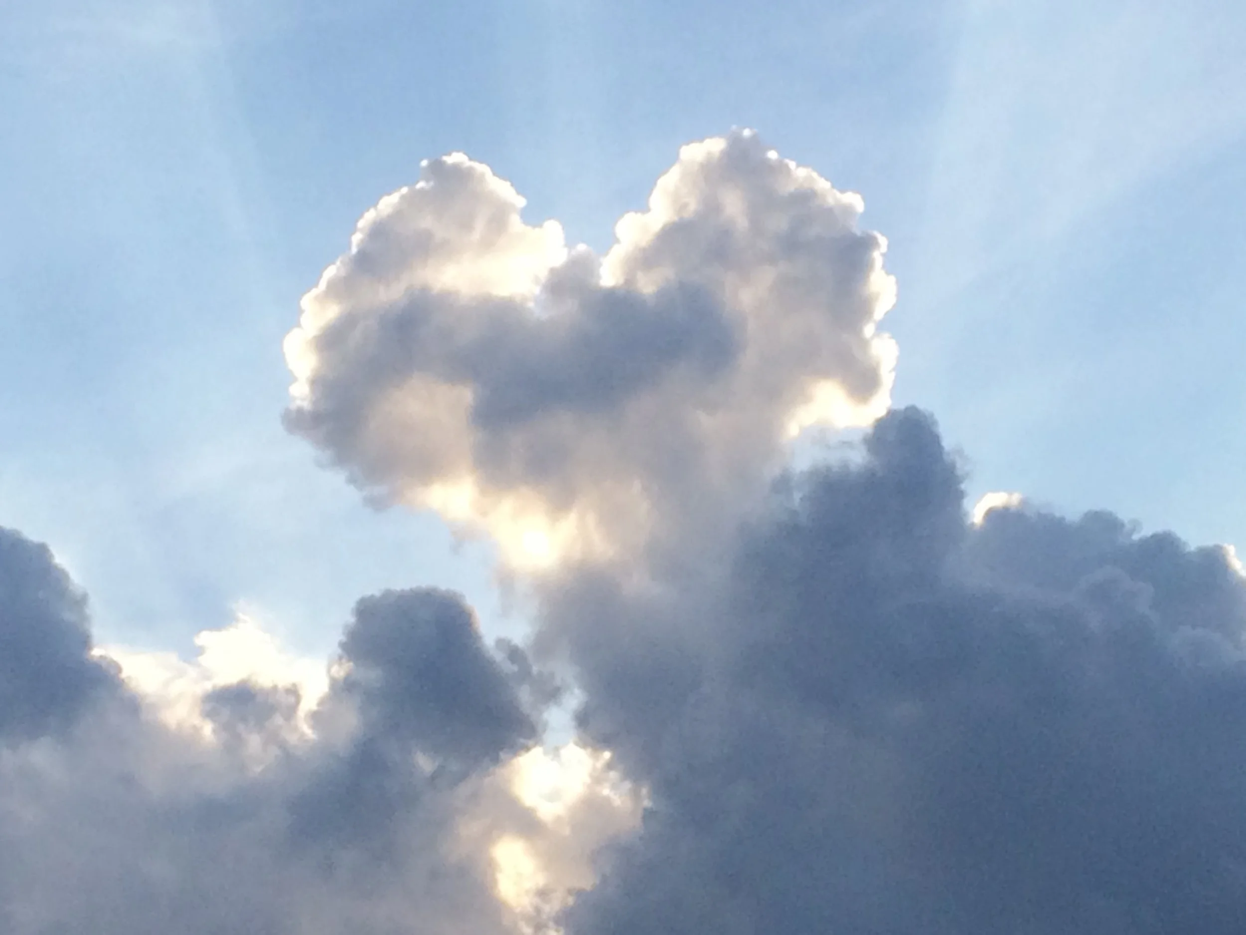 heart cloud.jpg