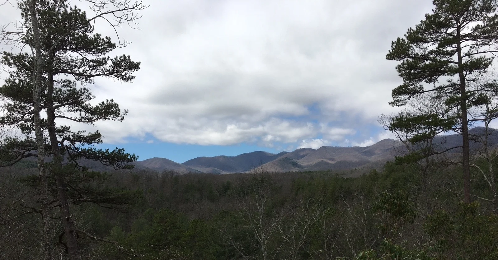 Mountains framed by trees.jpg