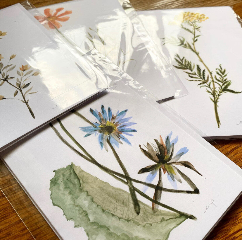 Assorted Pressed Flower Folded Card - Pk of 4