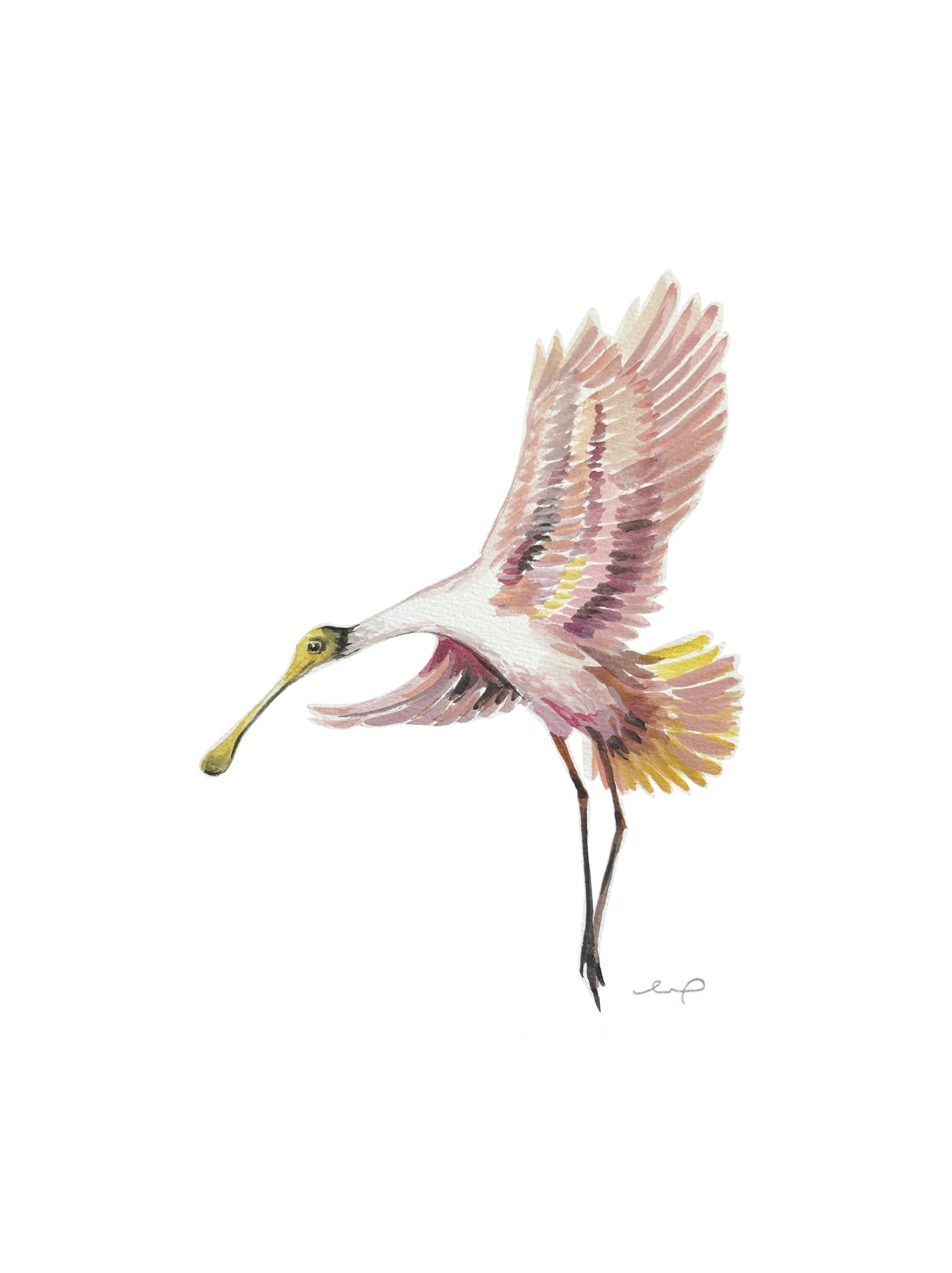 Print - Spoonbill