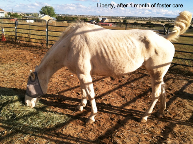 Liberty one month in foster.jpg