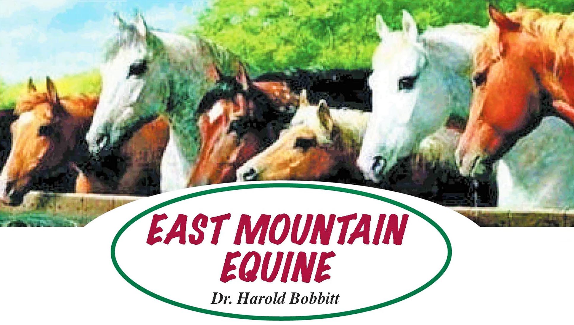 East Mountain Equine