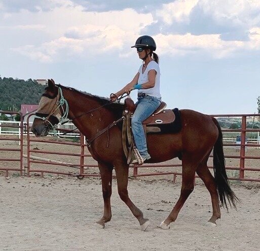 Cimarron New Mexico Horse Rescue