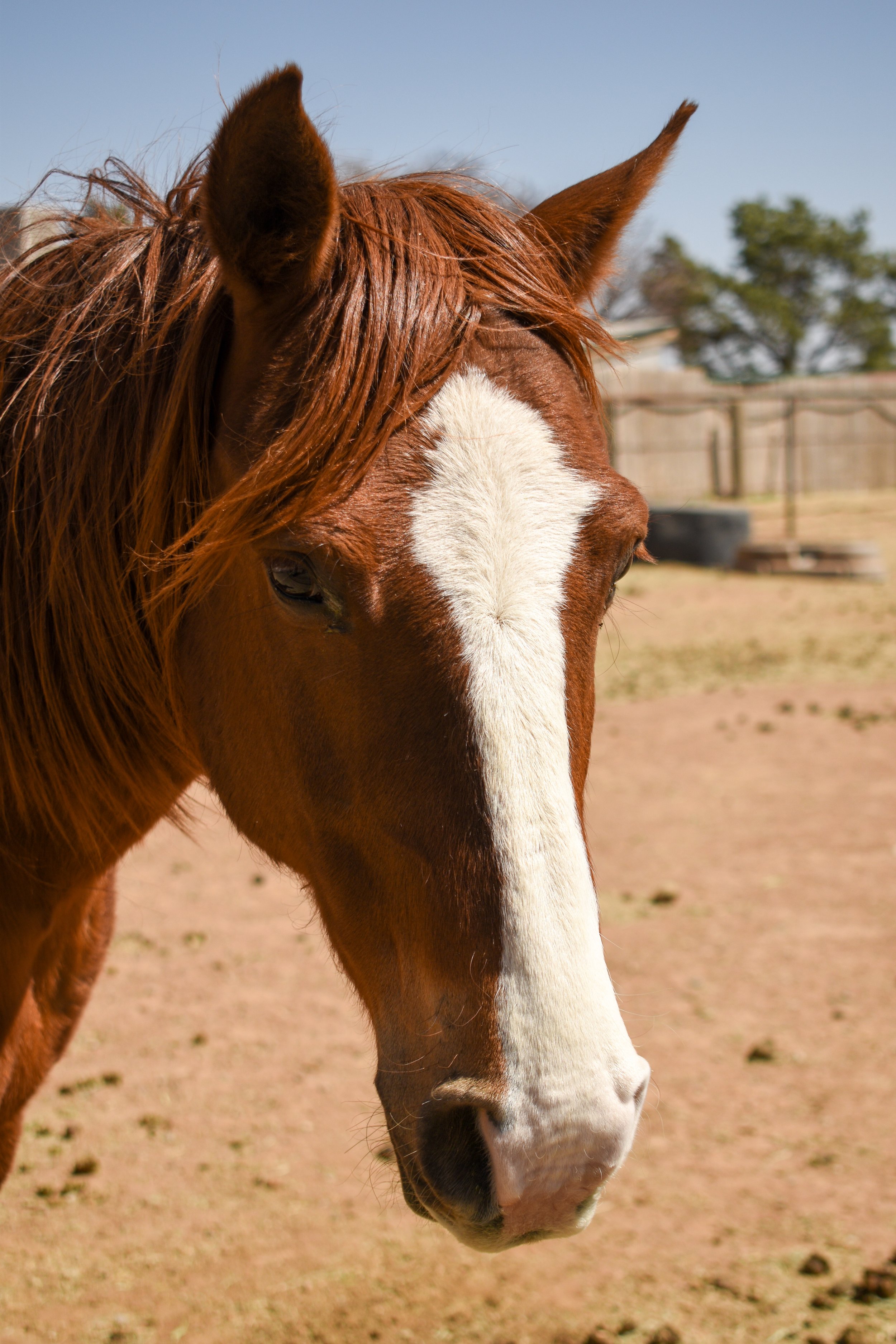 Glory headshot (2).jpg