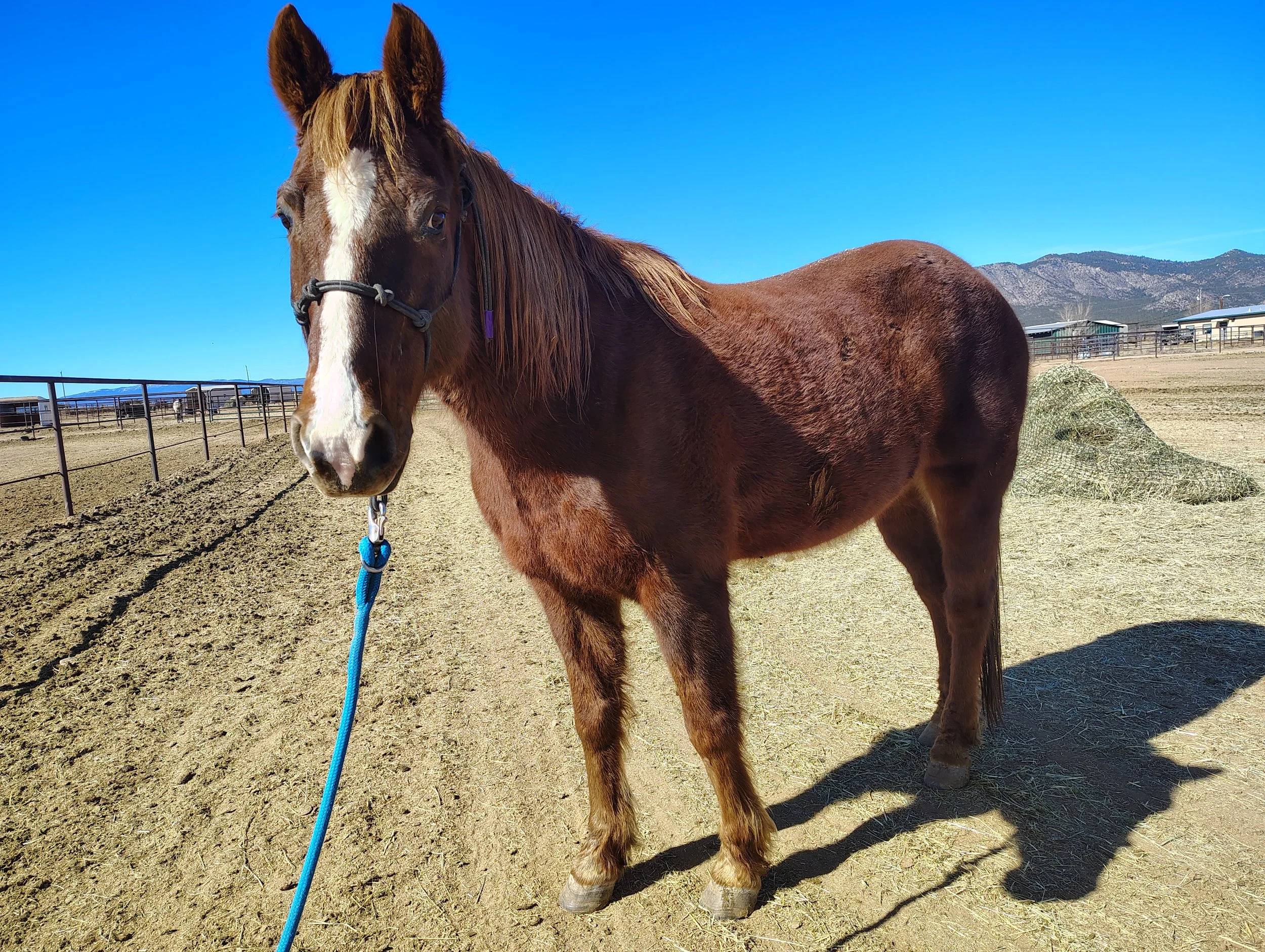 Curtis body_Feb 2026.jpg