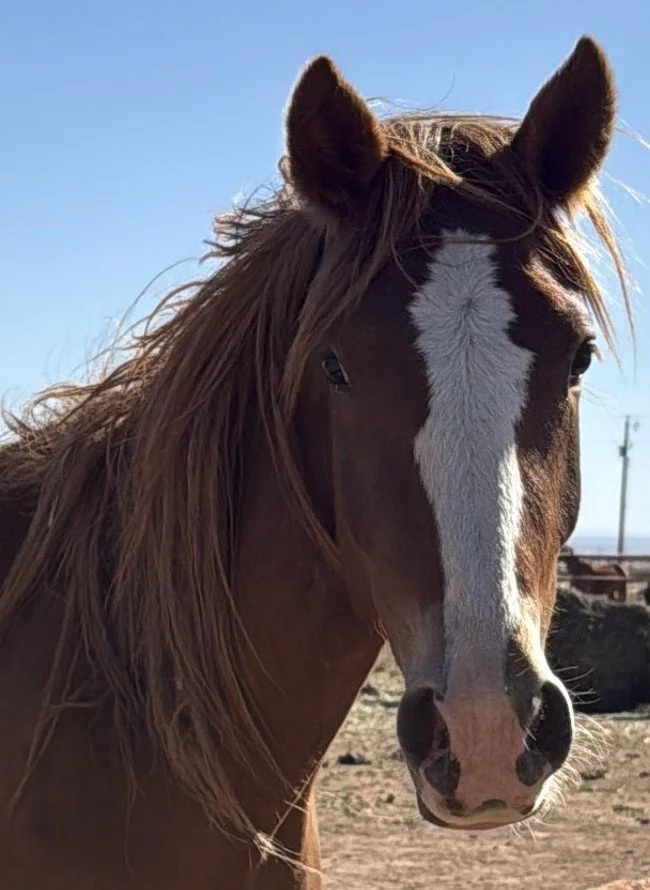Sunny and matrix.JPG