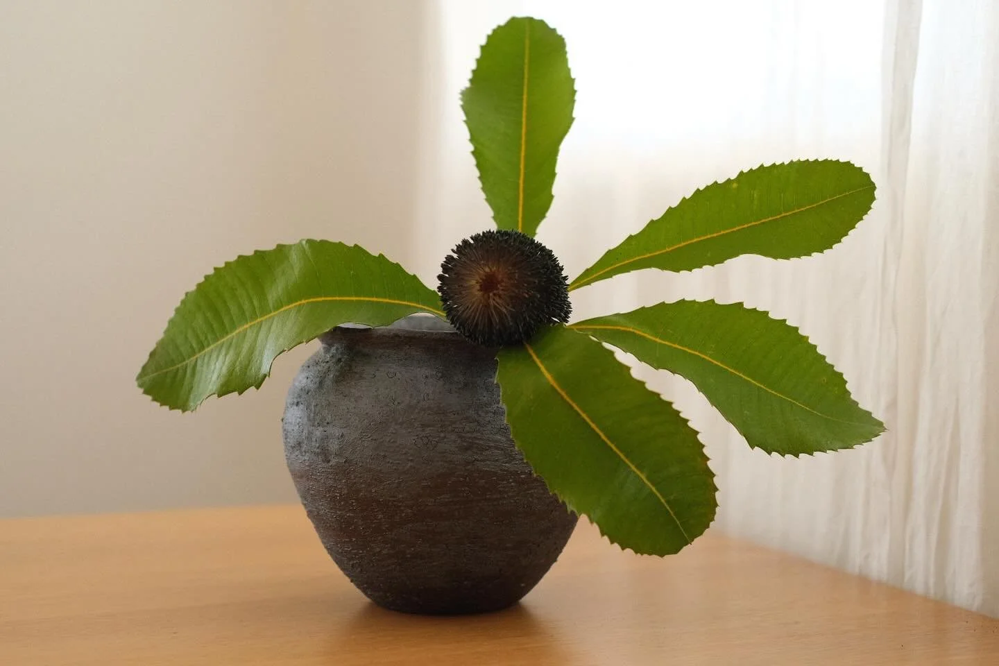 Dark stoneware with Maria River Road wild clay slip, woodfired to 1,300 degrees for 30 hours.