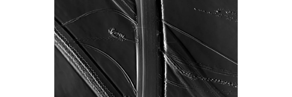 Traces-2.jpg
