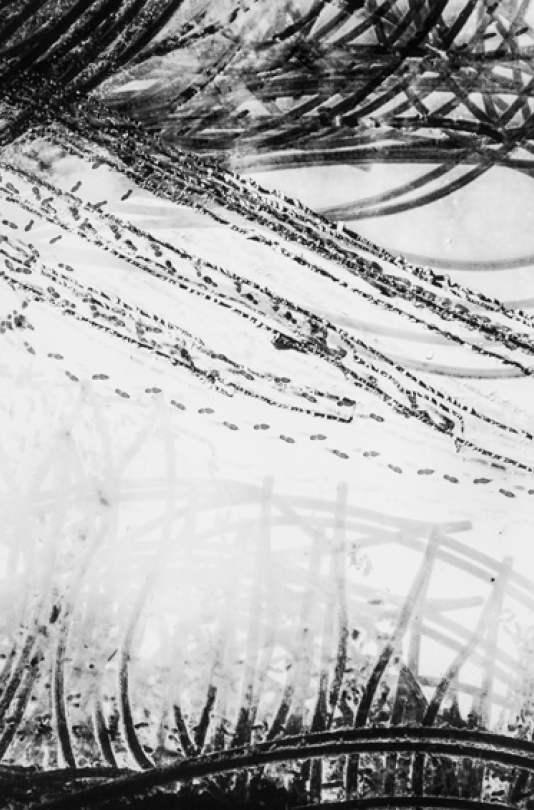 Traces-DT-0317-064-67x100cm