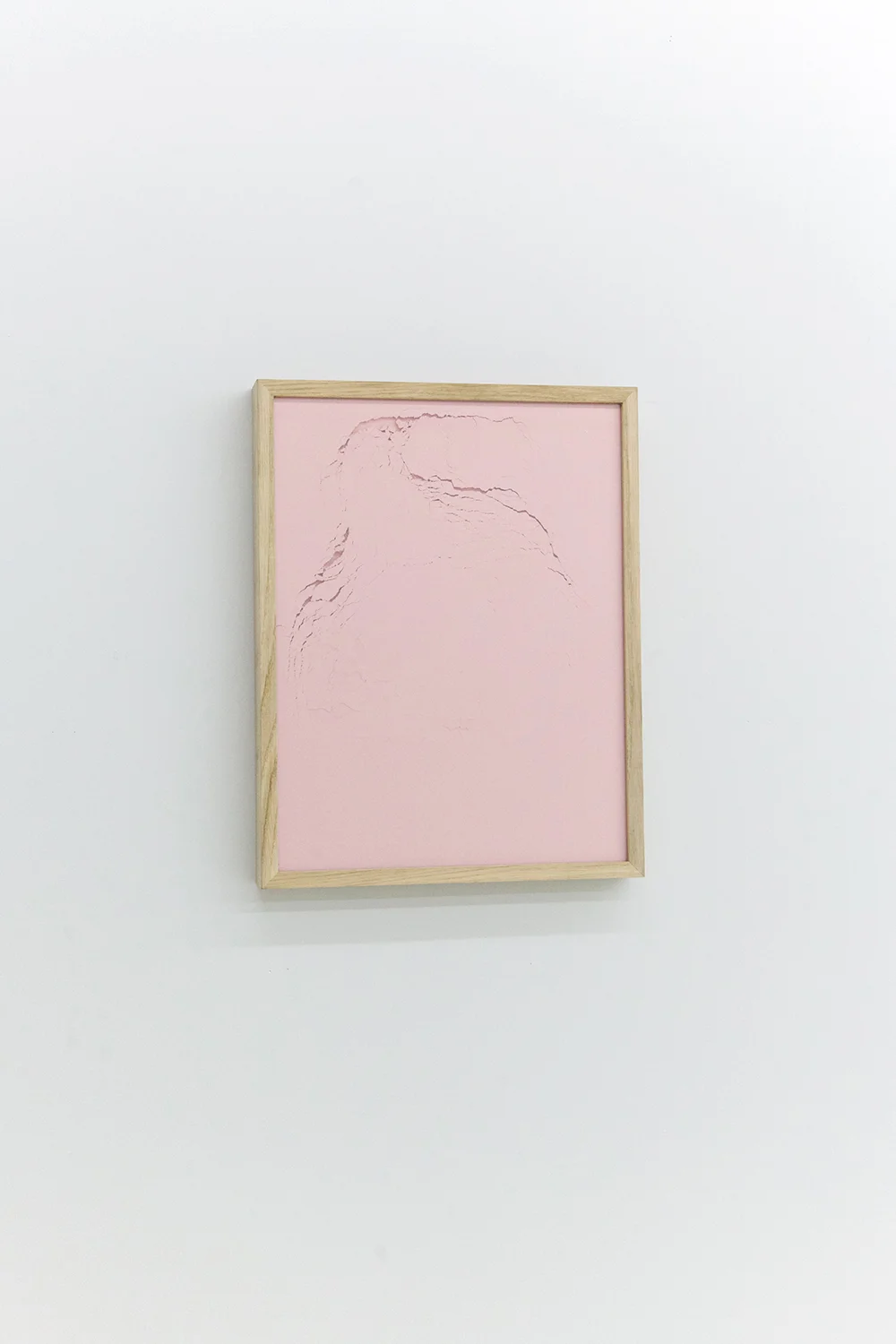 Diclivi di rose II.Pigment pur 45X35cm