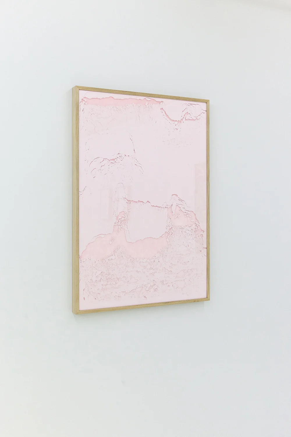 Declivi di rose I.Pigment pur 100x70cm