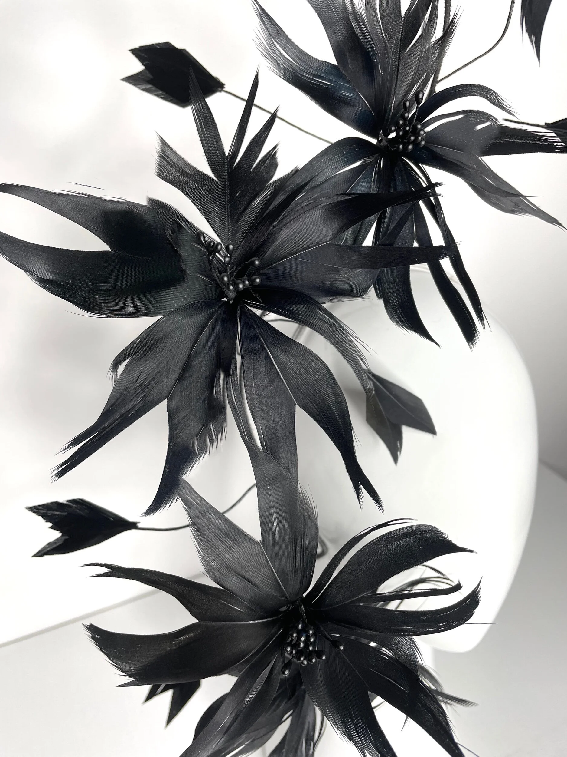 1206A6BB-0E49-462E-971E-10CDAF79309B