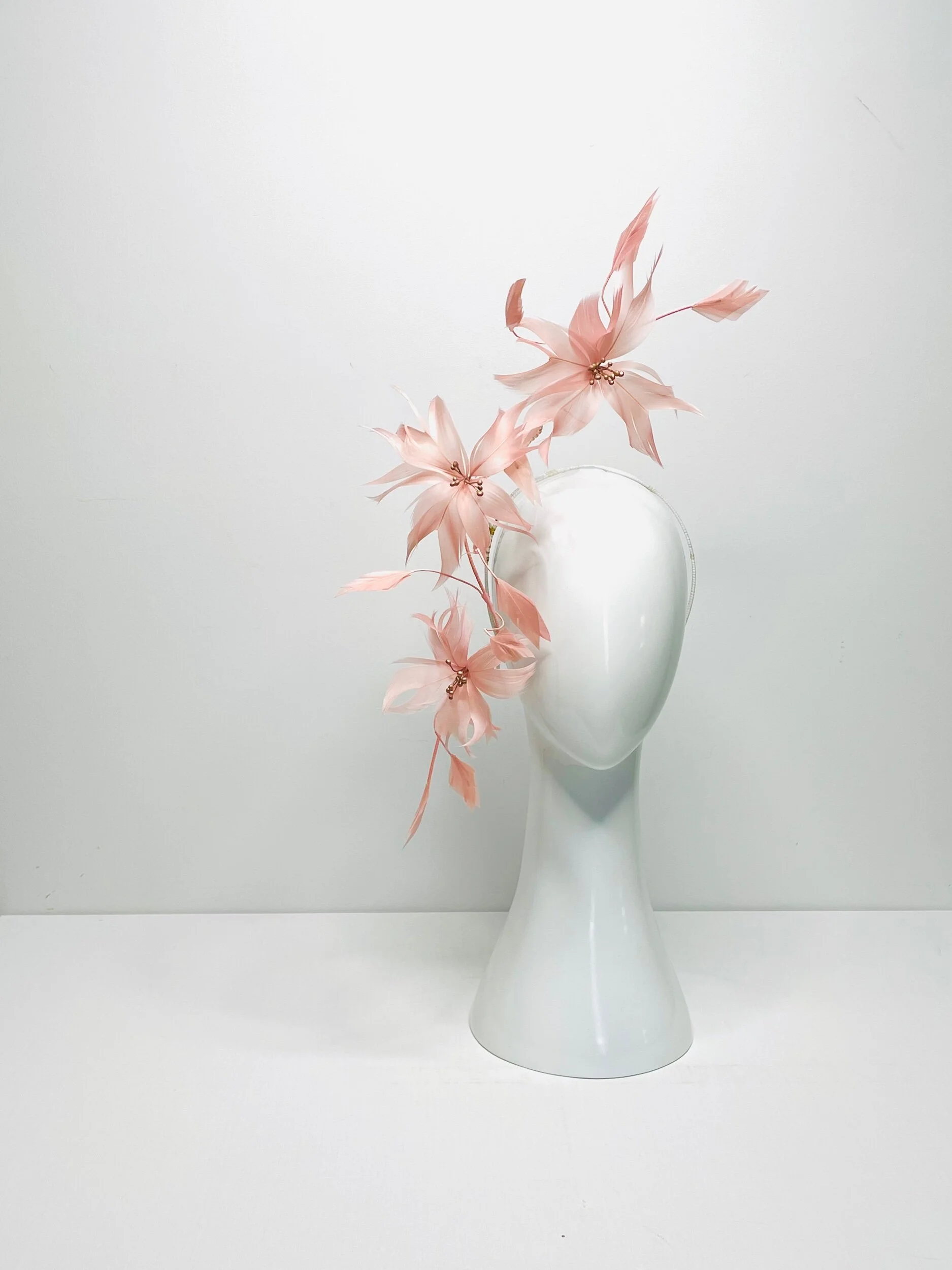 C8A47C3E-F1C8-4B5C-8DE4-44F4A5798D32