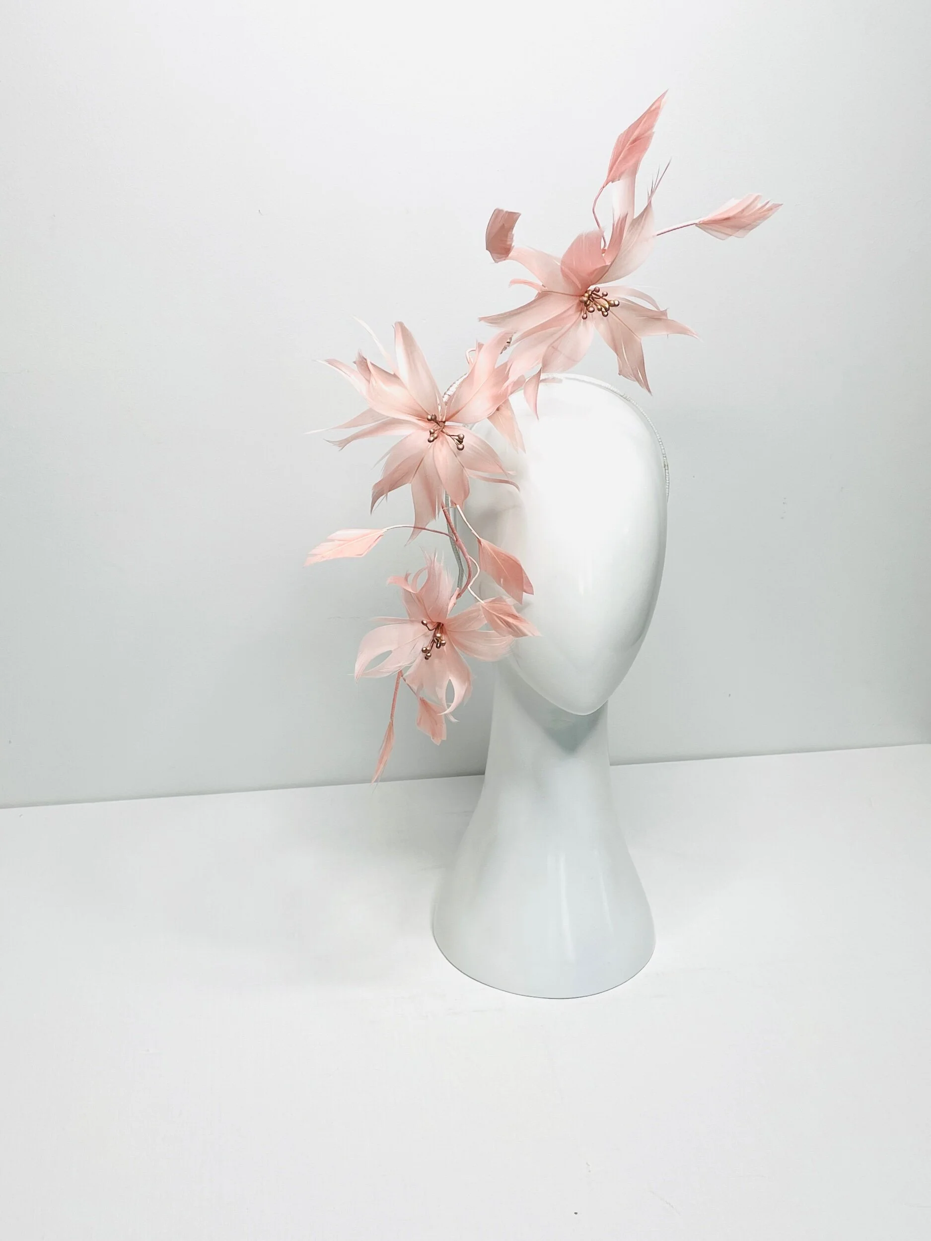 471E6DE3-8F8C-4A41-AAAE-E58ADB65A5FB