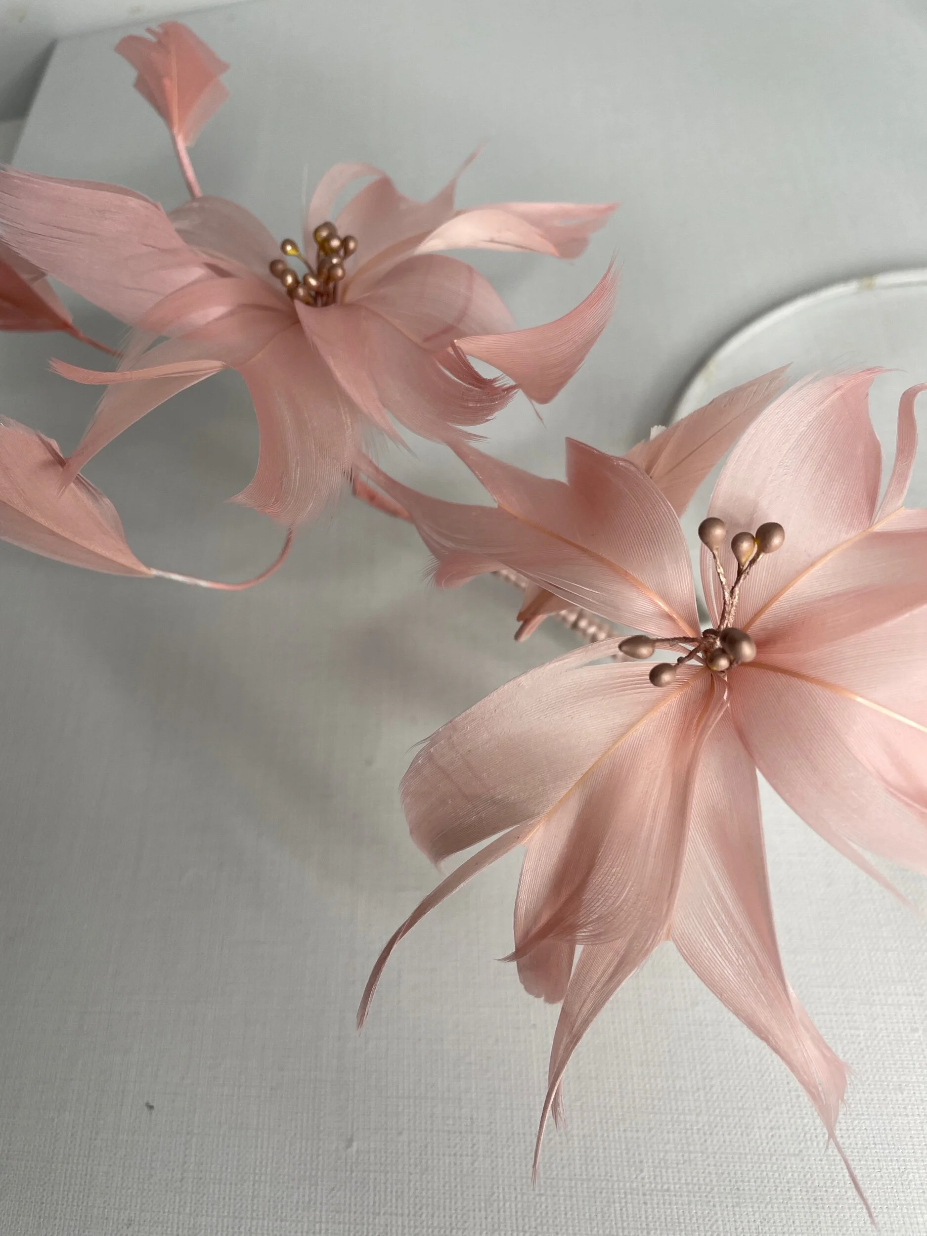 CAB48227-CD25-437C-BD2A-B527E0DF9A27