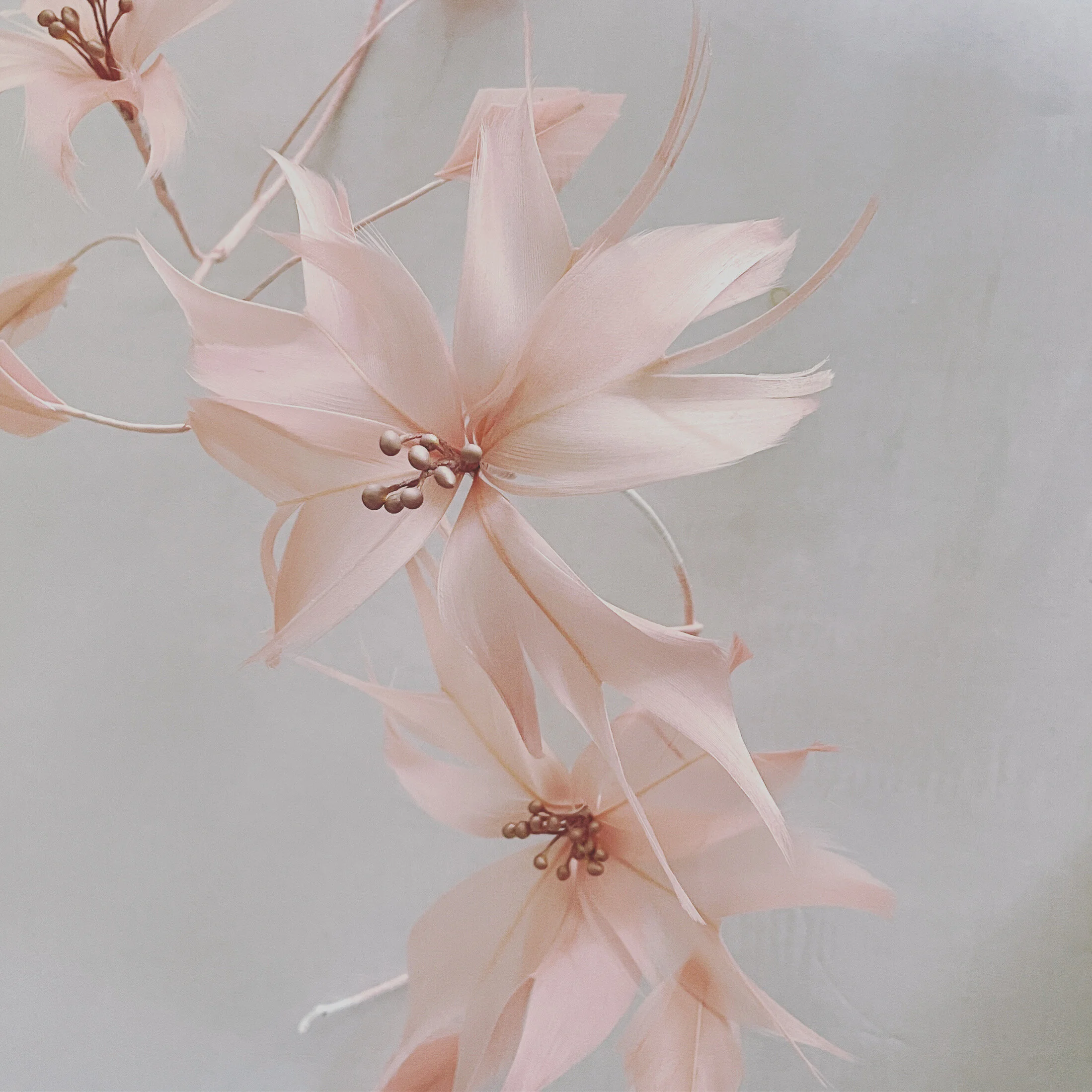 44D98CEF-C387-40D1-9363-8FA49EC581E2