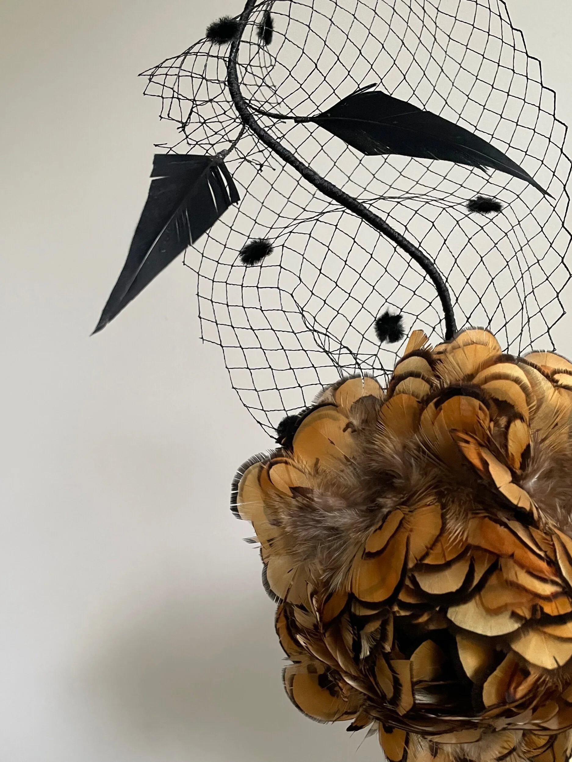 ECFD8034-80A6-422D-AAE5-ED188466CBF0