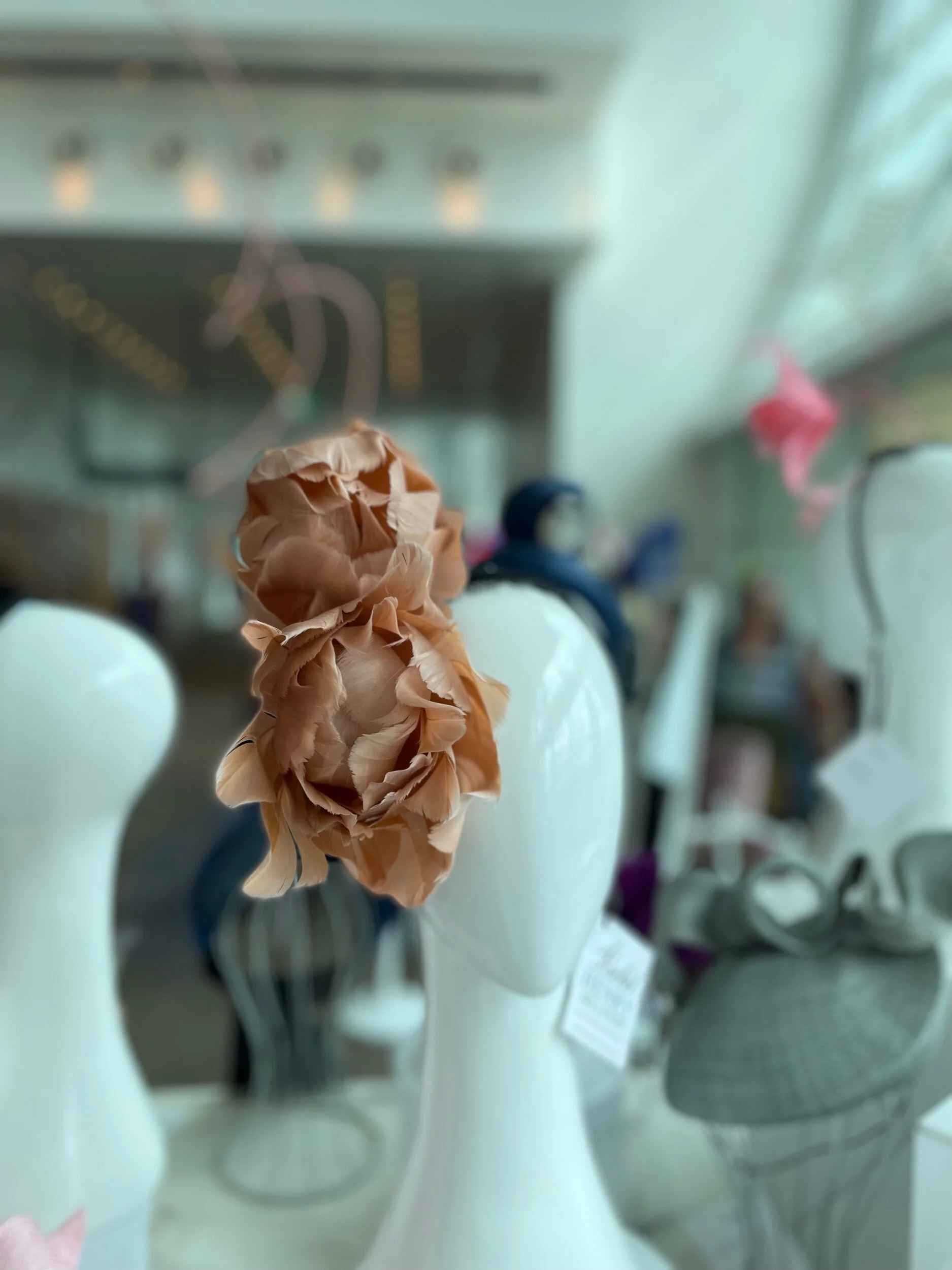 0D0511E8-AC9C-44BE-A5A0-213A6DDF70F7