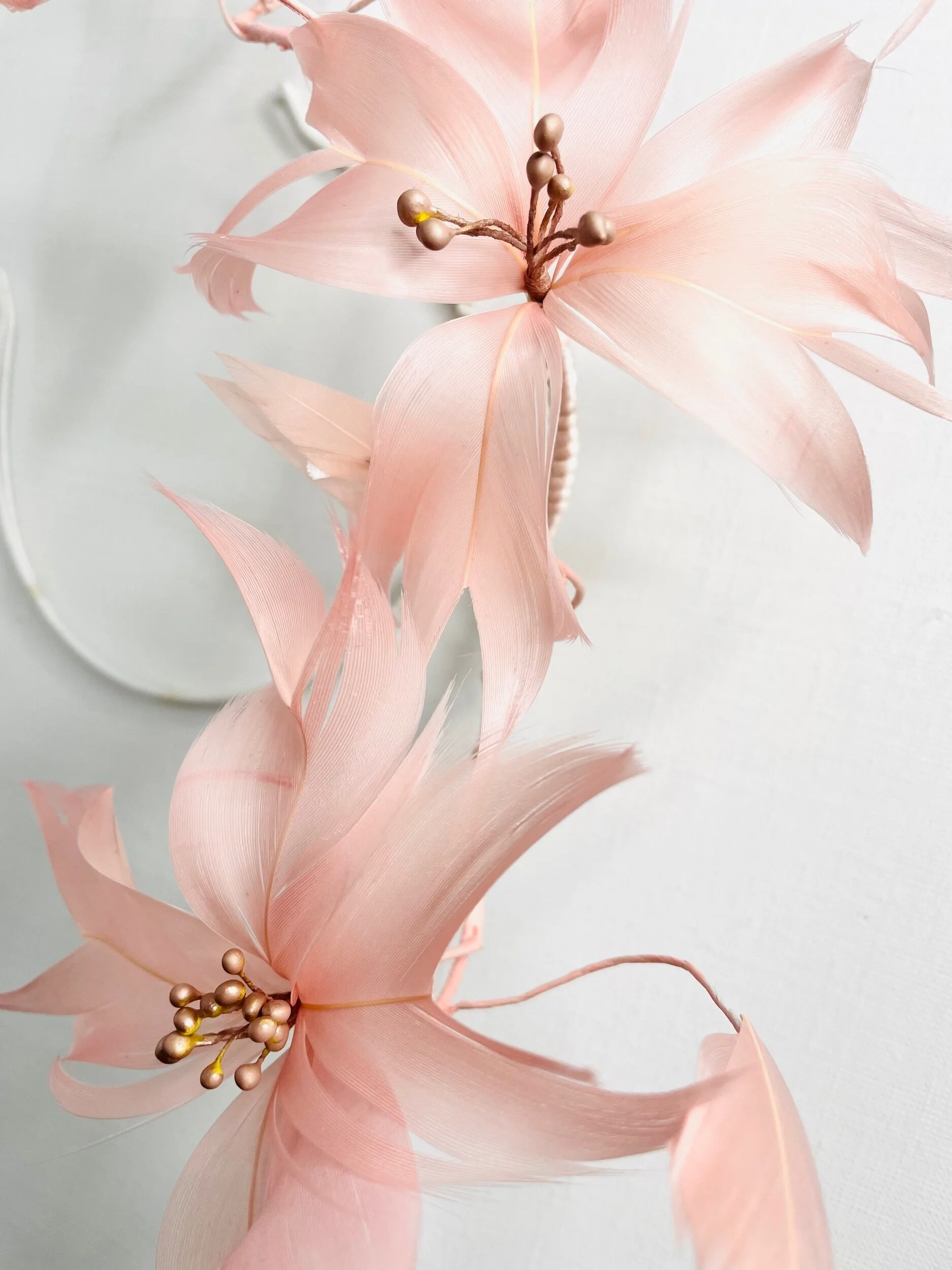 B7E0614F-D43E-4618-B377-A6EA9DBDDED2