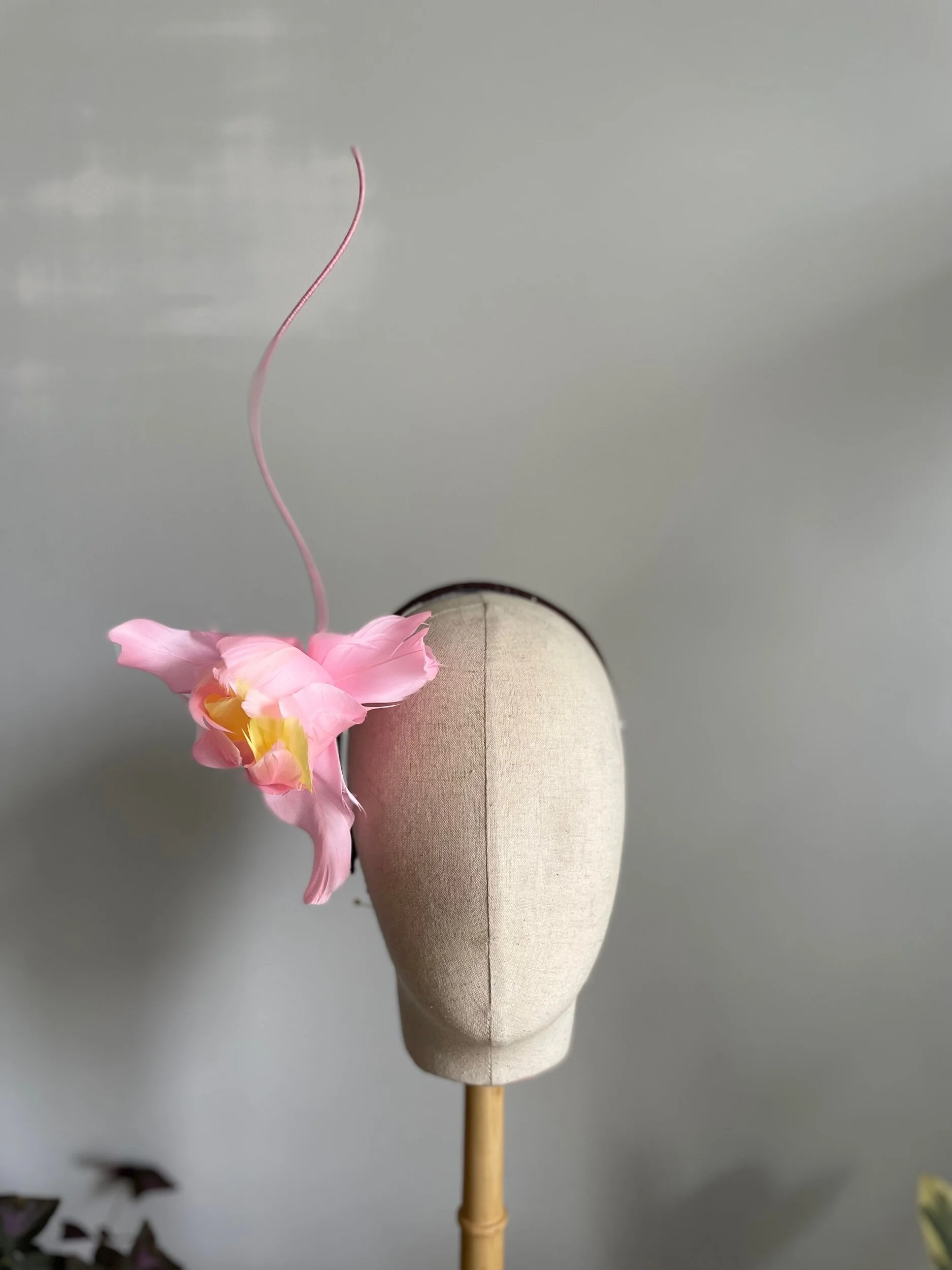 0BC21877-1CED-4857-86BC-B9A39315D37E