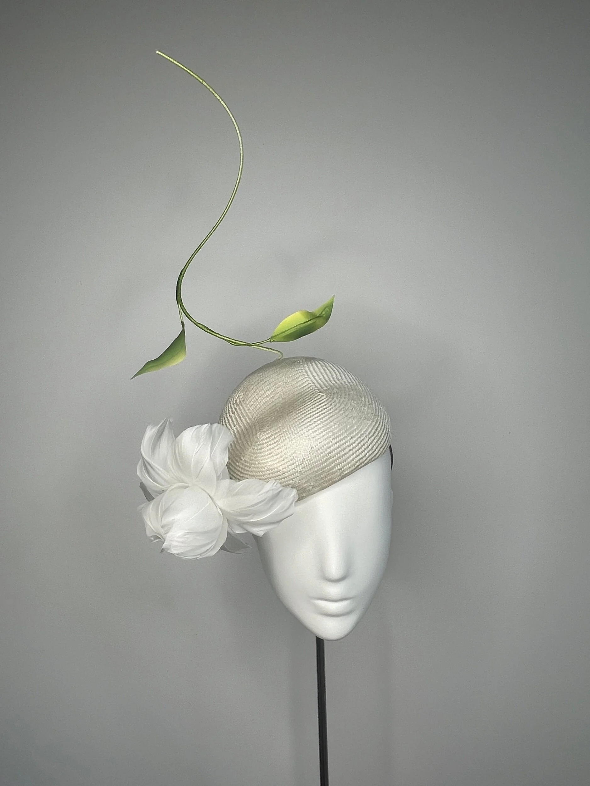 D406198F-5081-459F-B6A8-2EDE8C16F5BA