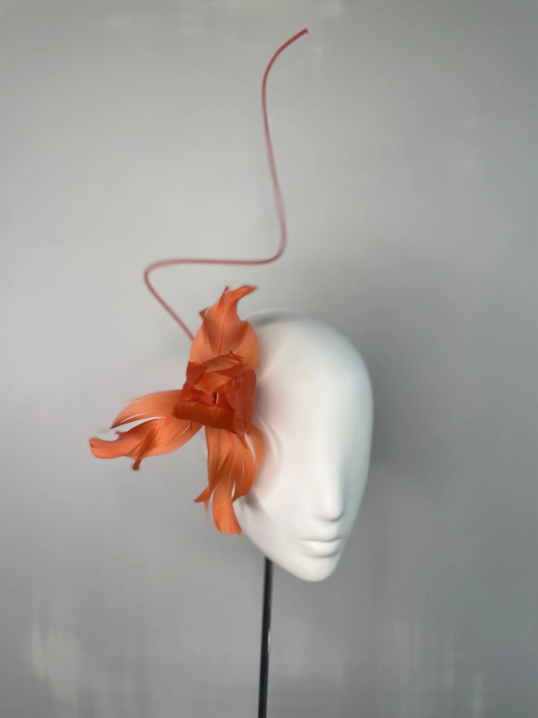 AC060CCF-404C-48E9-82FE-80B19BD215CA