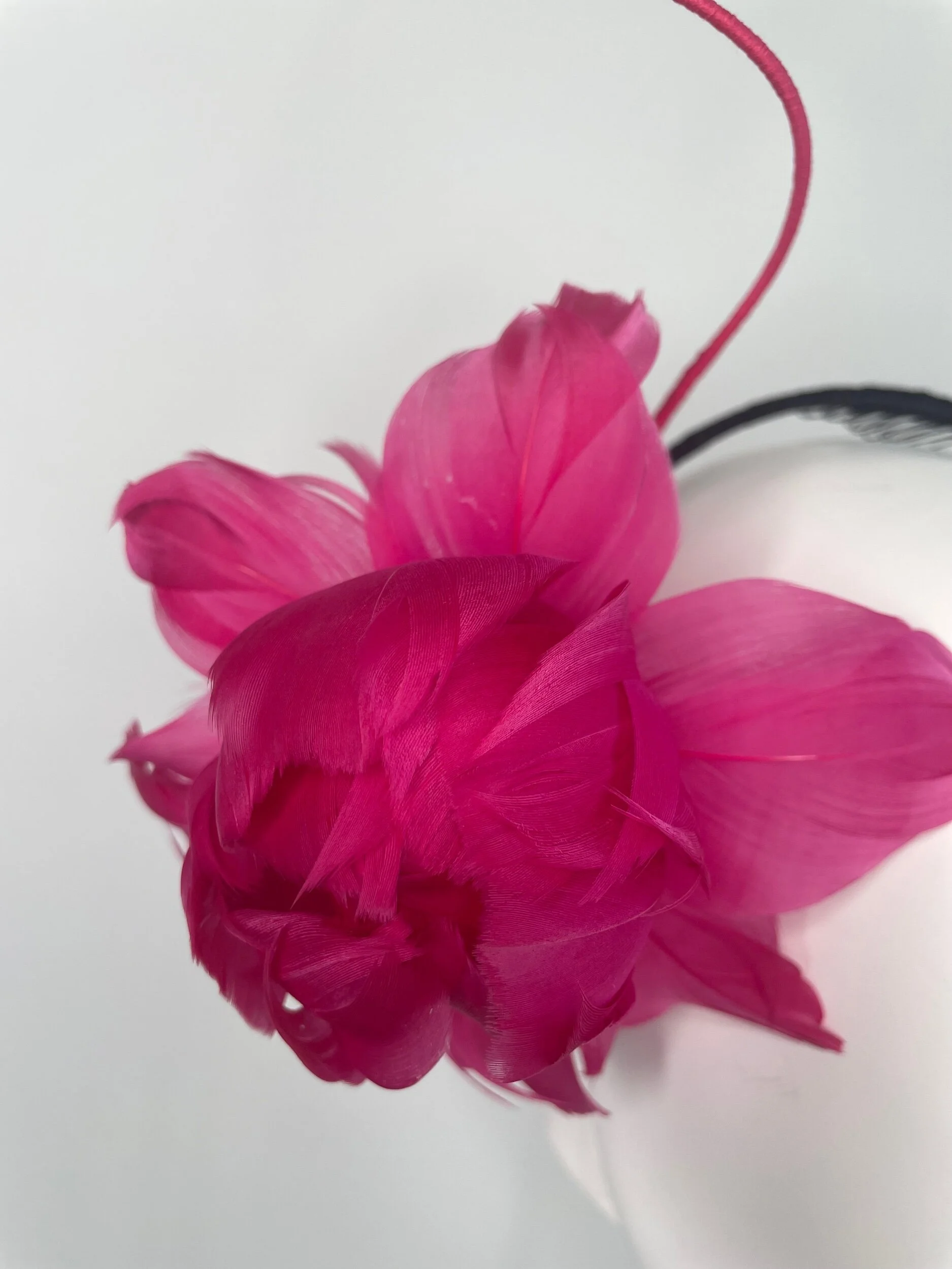 34DE7655-A213-4C70-81C8-1D1927FD6F98