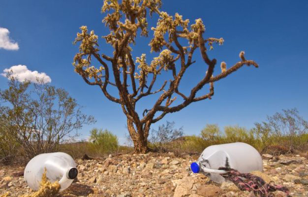 Border Angels leaves dozens of gallon jugs of water in the desert along high-traffic migrant paths. Why? Following 1994, when the US government implemented its most inhumane border enforcement policies ever, more than 11,000 sons and daughters, sisters and brothers, husbands and wives have died. Their main cause of death? Dehydration. Watch this video to find out more.