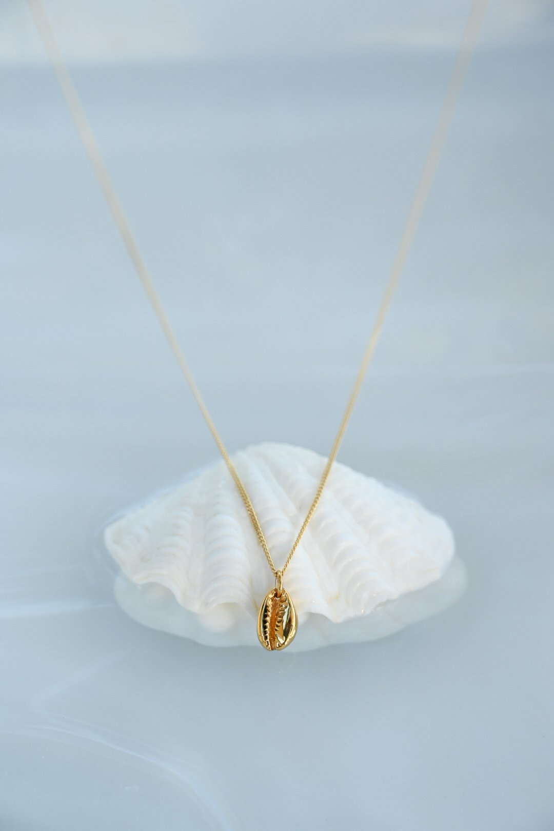 Cowre Shell 2 (1).jpeg