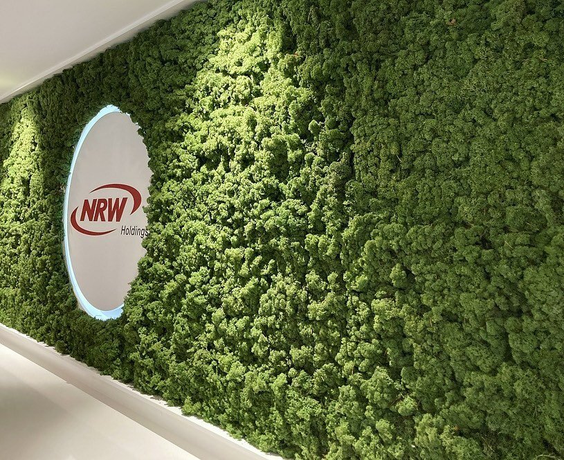 ✳️✳️✳️
Want to stand out from the rest?
Have a grand entrance?

❇️ Mosswall ❇️

✳️✳️✳️
Corporate Reception, Client: NRW Holdings Group, Belmont, WA. Design: @hubinteriorsaustralia

#mosswall #perthisok #biophilicdesign #interiordesign #interiors #int