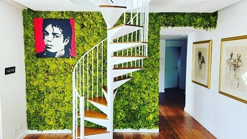 A pop of nature in this beautiful home in Sydney, colour chosen is  WASABI in our Fusion.

@verdeprofilo 

.
.
#entrancedesign #mosswall #greenwall 
#perthinteriors #interiordesign #interior #interiors #interiordecor #interior_and_living #interior_lo