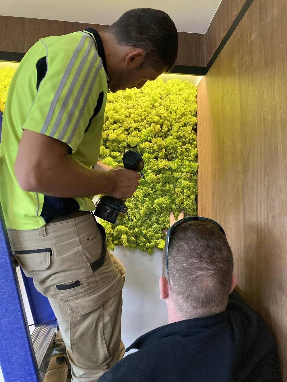 installing wasabi.jpg